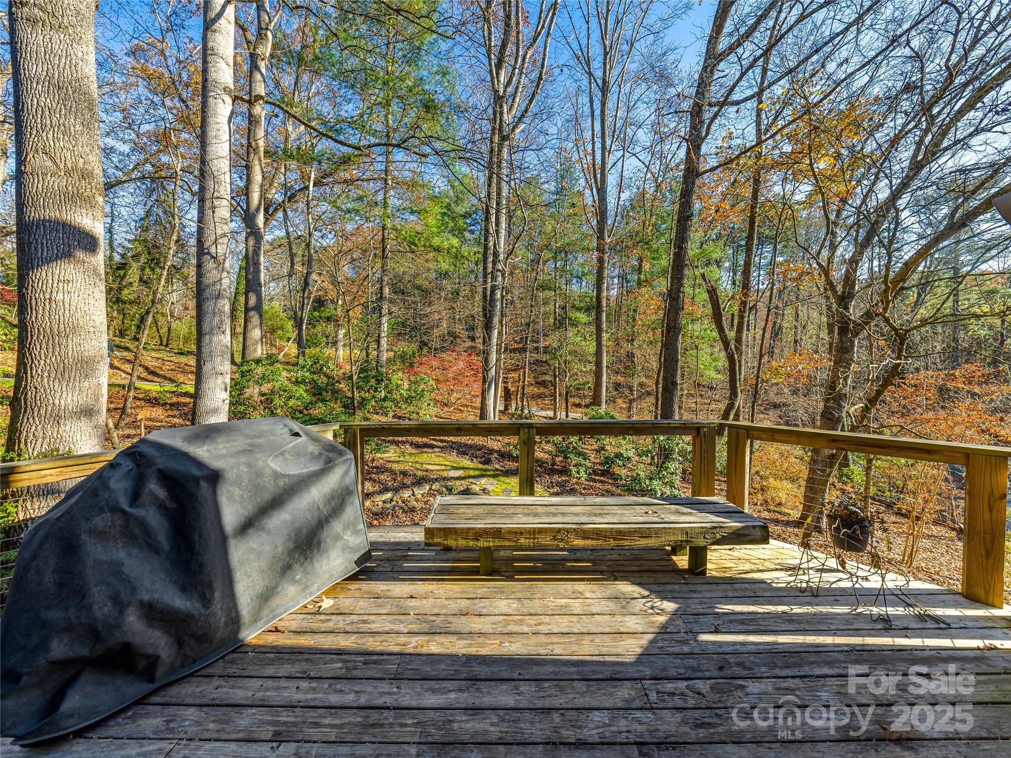 339 Beaverdam Road Asheville NC 28804