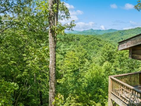 299 Blue Ridge Parkway Bryson City NC 28713