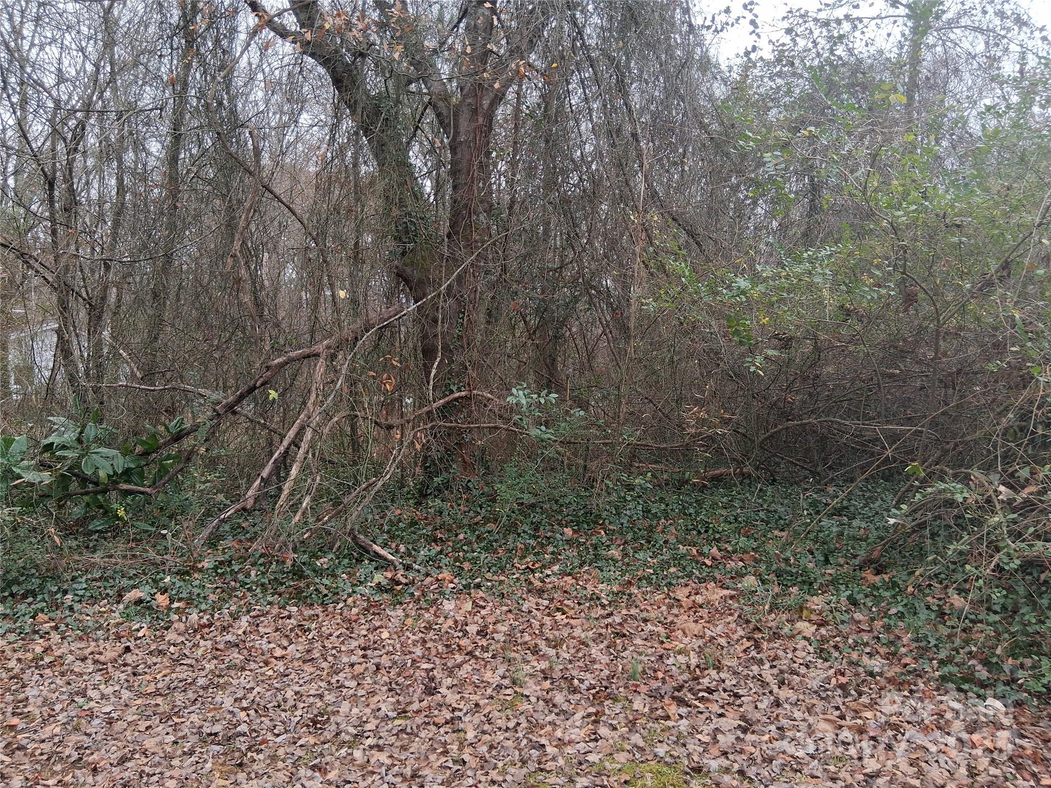 111 Parmer Street Forest City NC 28043