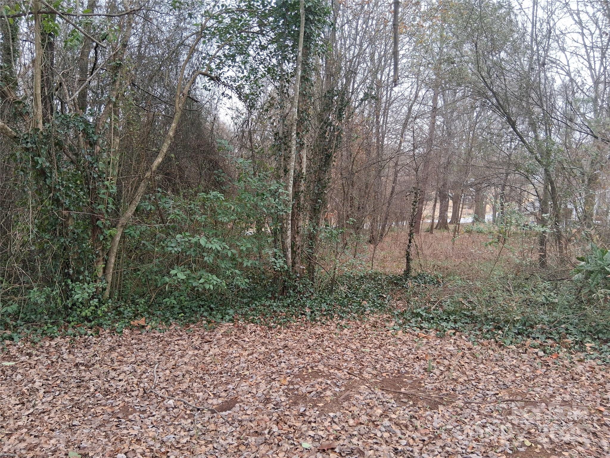111 Parmer Street Forest City NC 28043