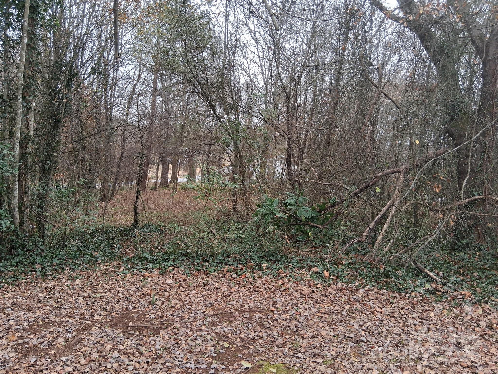 111 Parmer Street Forest City NC 28043