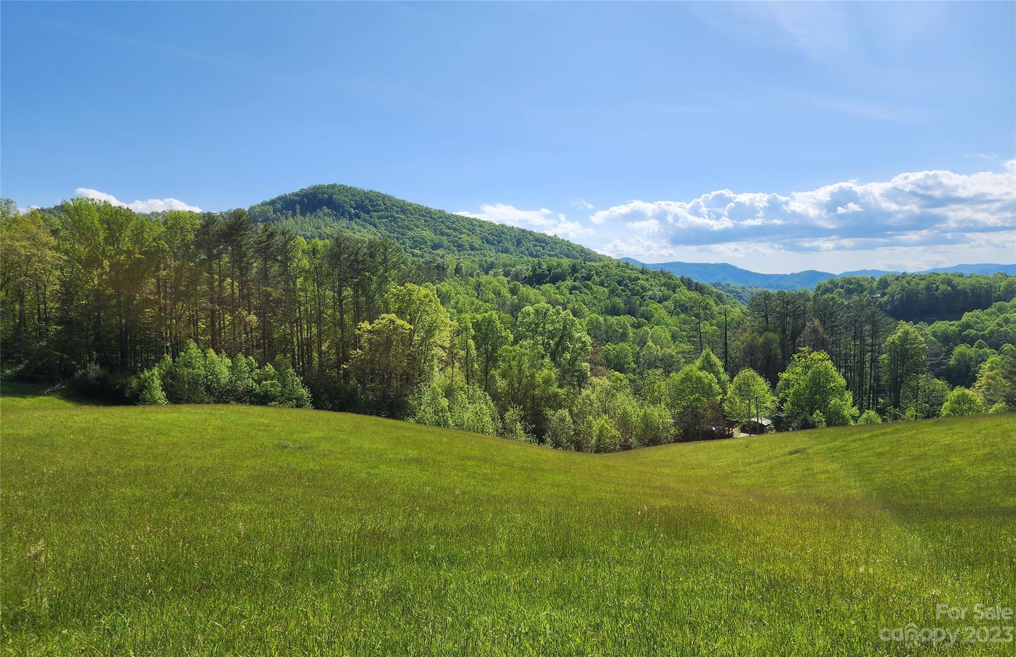 2015 Nc 80 Highway, Bakersville NC Real Estate Listing MLS Car4029063