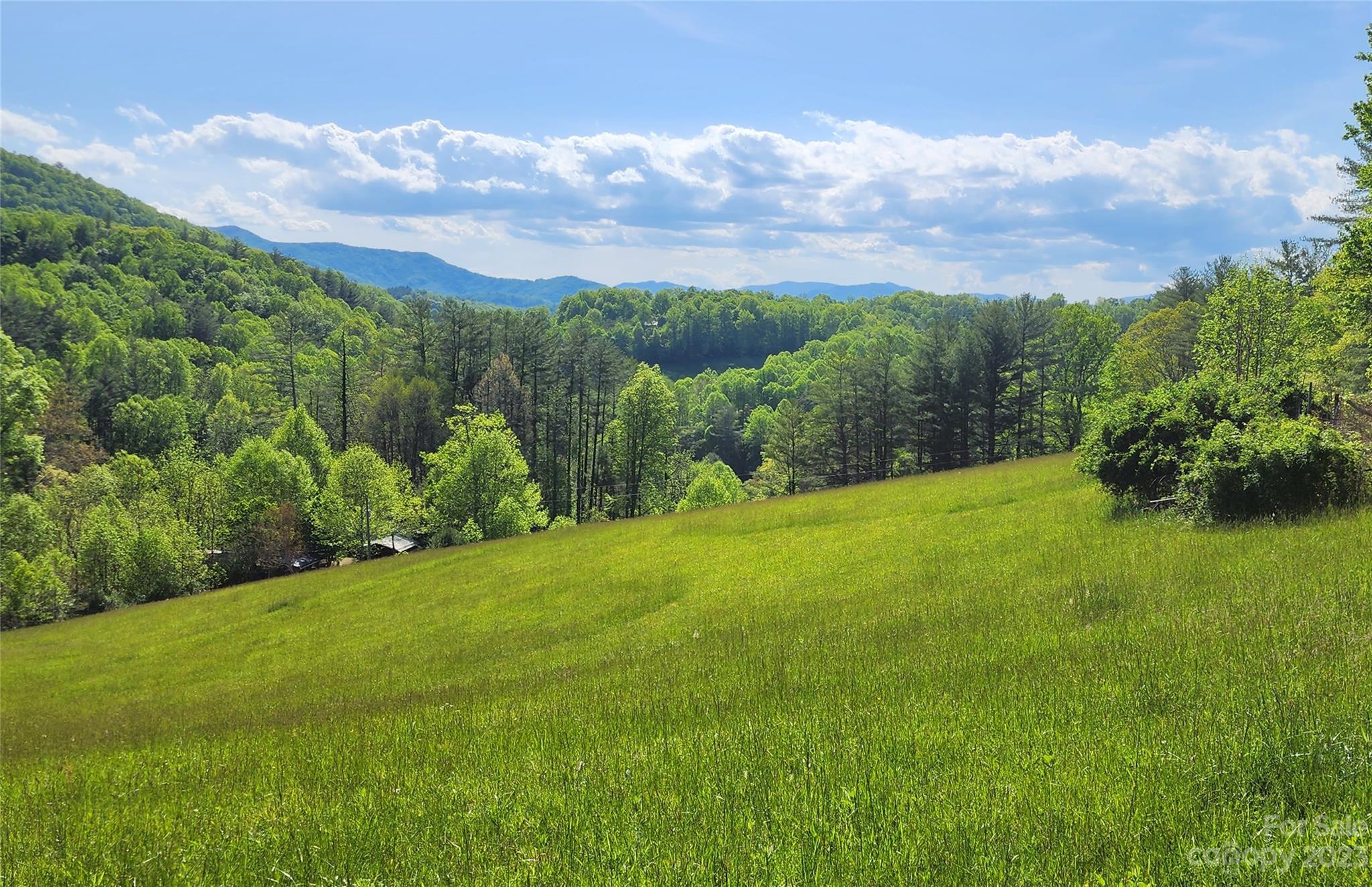 2015 Nc 80 Highway Bakersville NC 28705