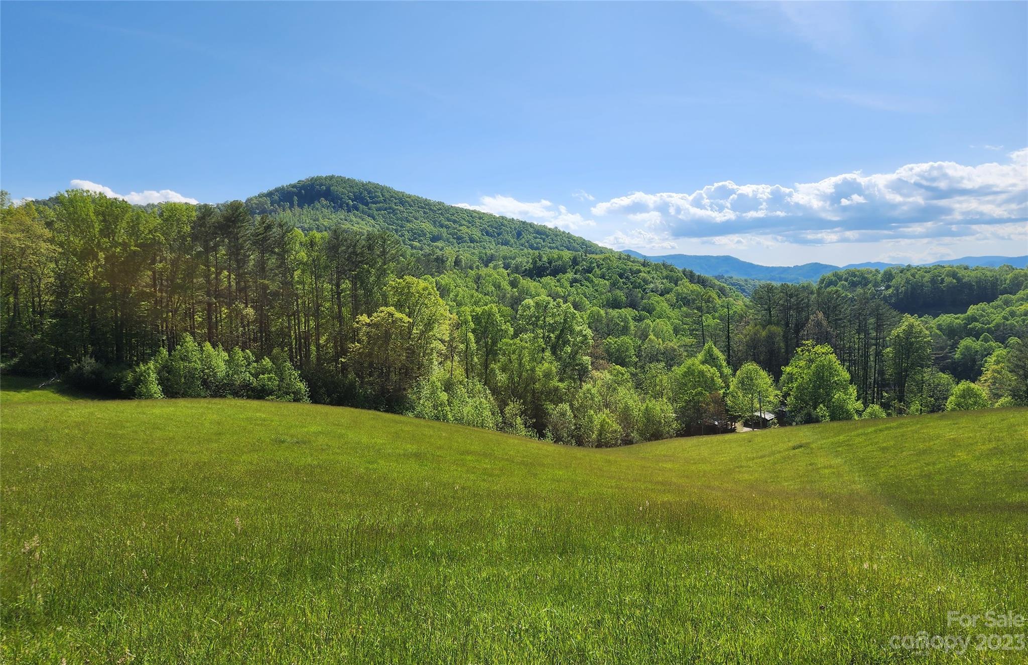 2015 Nc 80 Highway Bakersville NC 28705