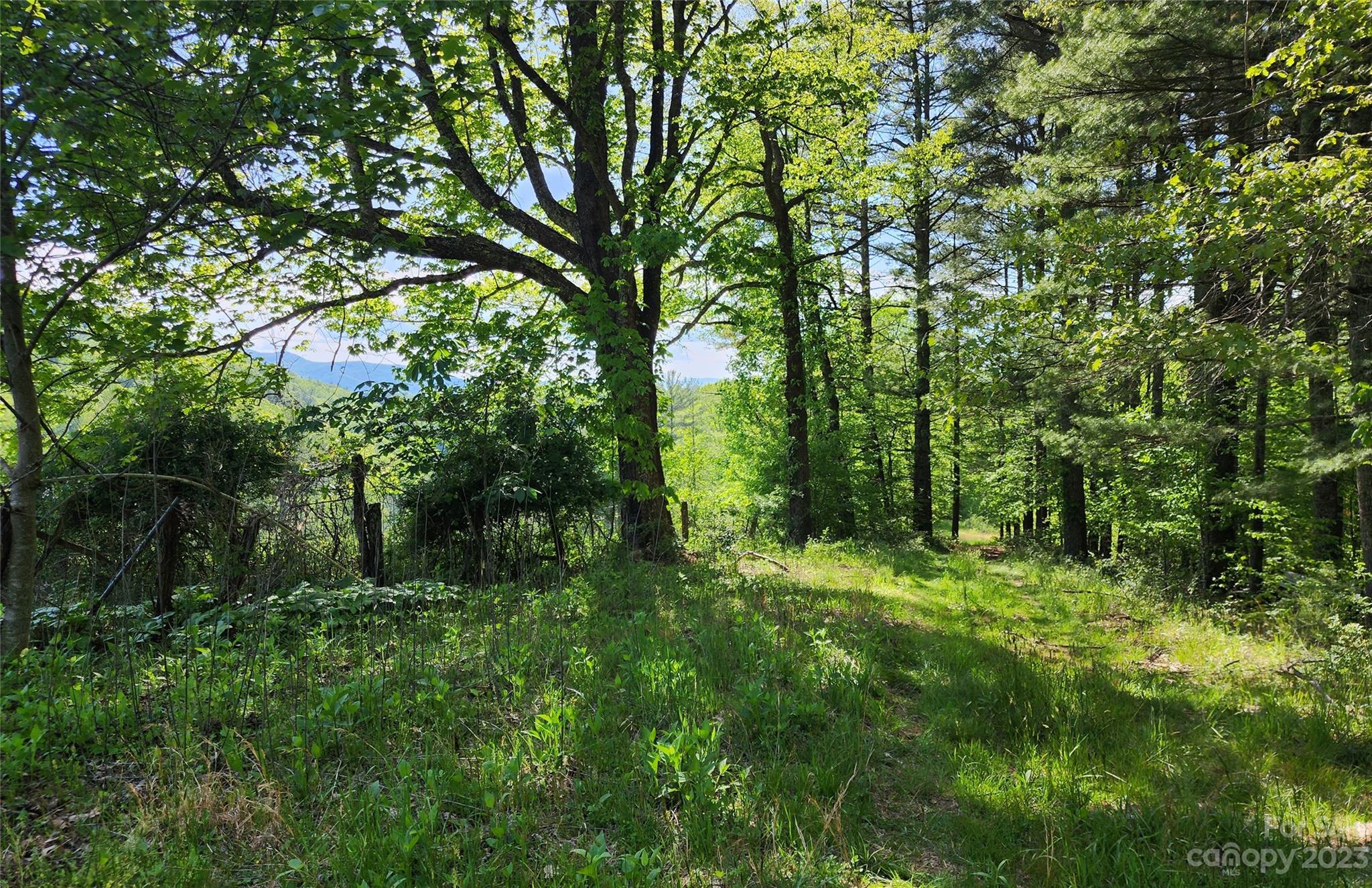 2015 Nc 80 Highway Bakersville NC 28705