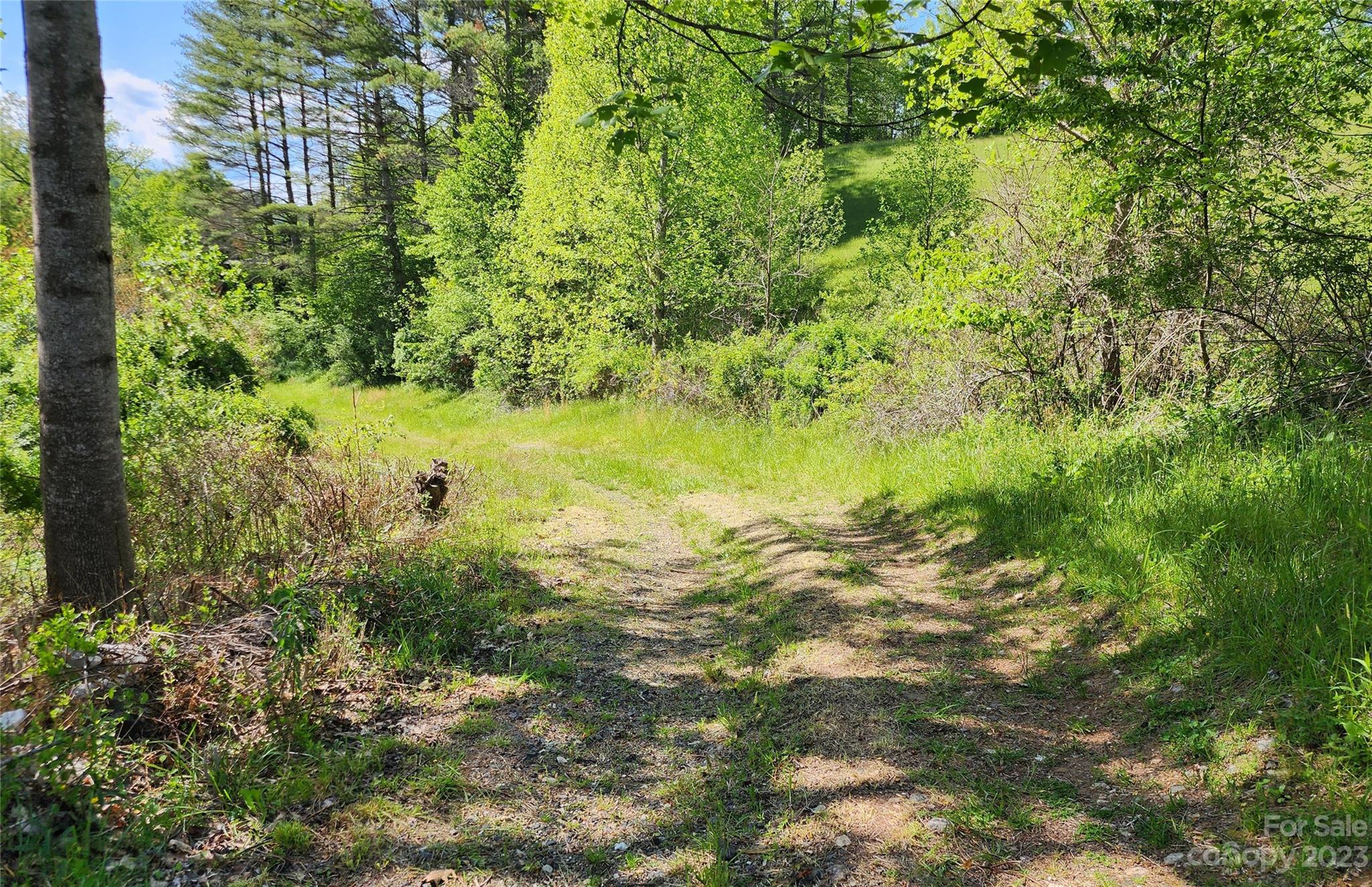 2015 Nc 80 Highway Bakersville NC 28705