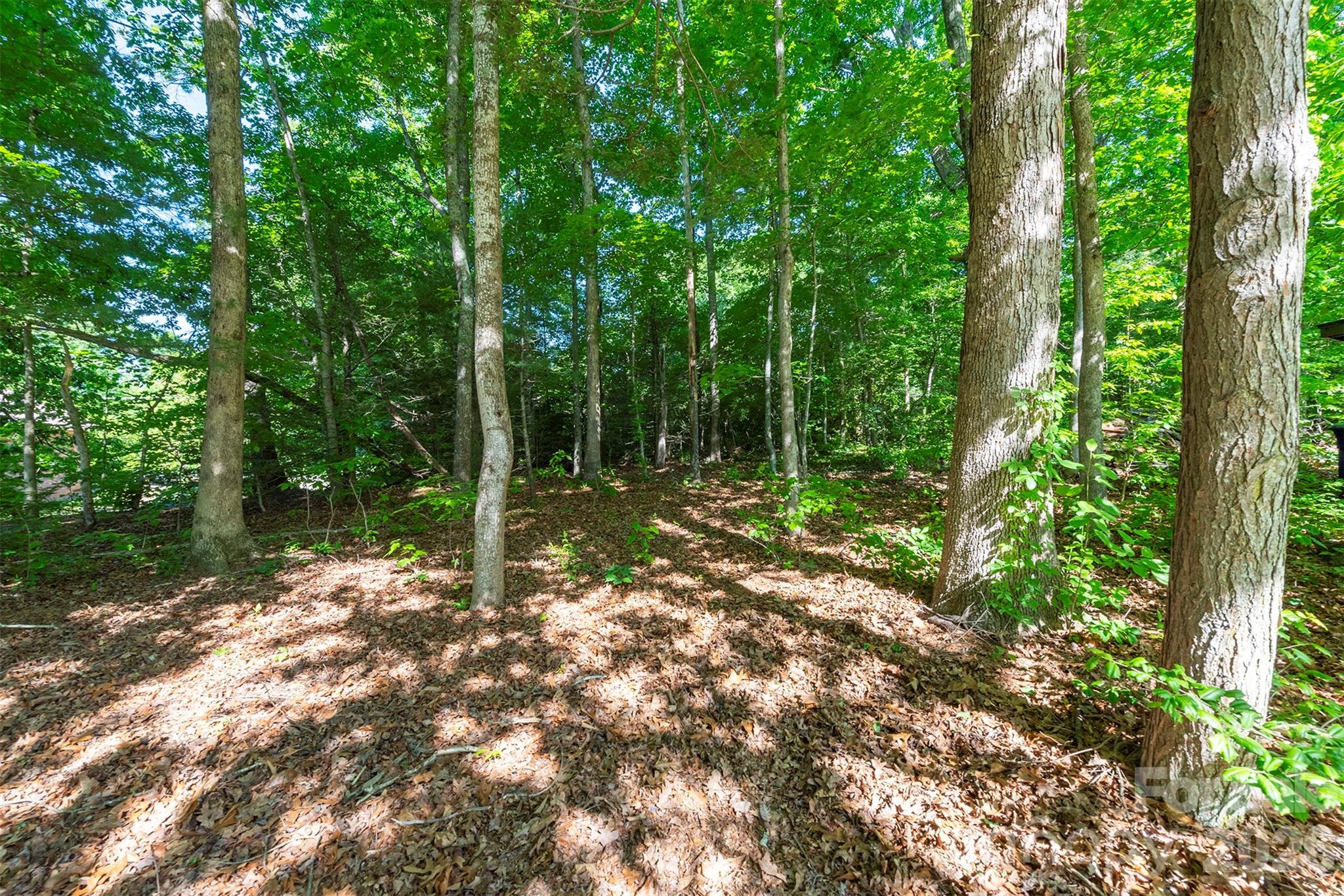 34 Goldmont Street Black Mountain NC 28711