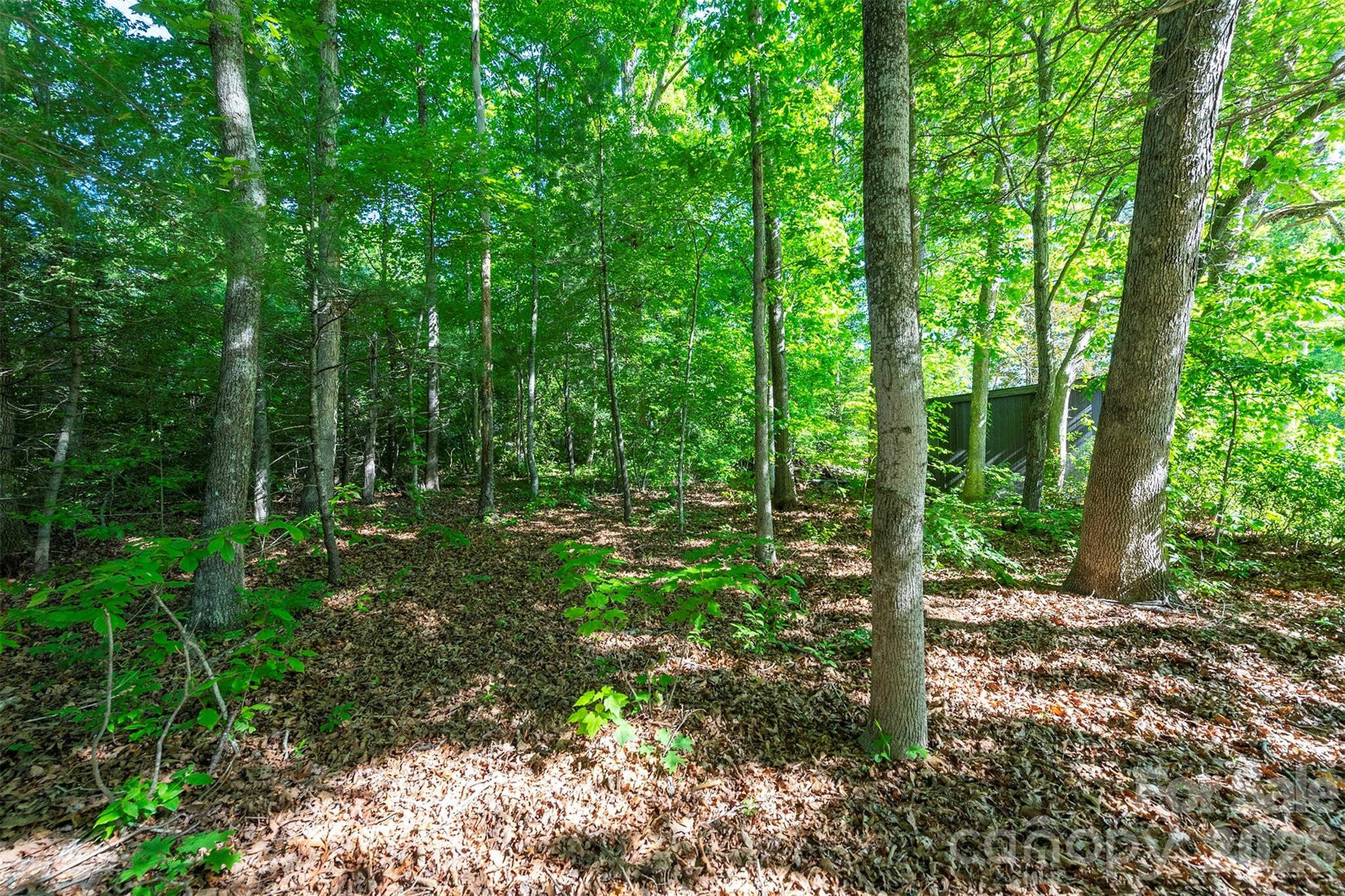 34 Goldmont Street Black Mountain NC 28711