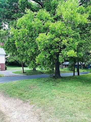 115 S Pearl Street Troy NC 27371