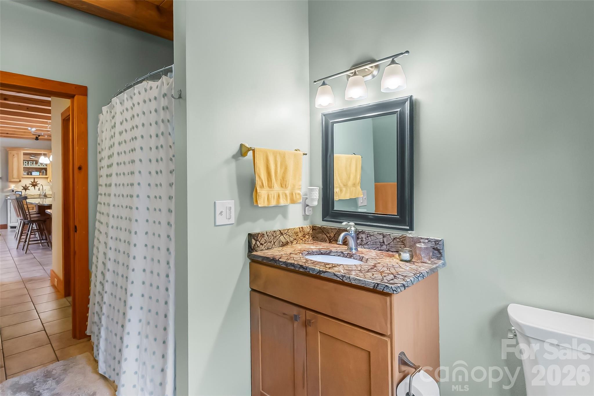 482 Gap Creek Road Zirconia NC 28790