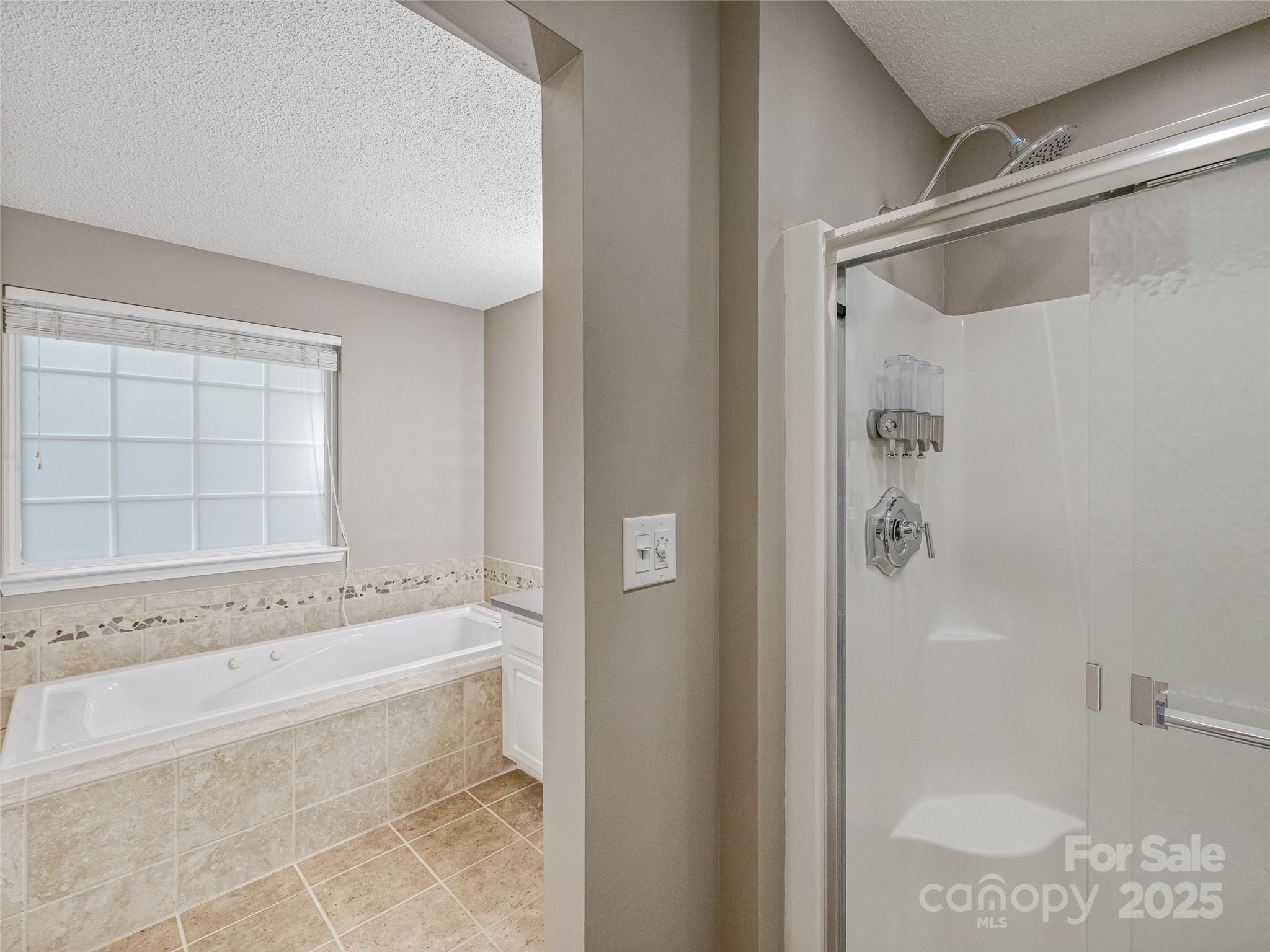 106 Thistle Tree Way Weaverville NC 28787