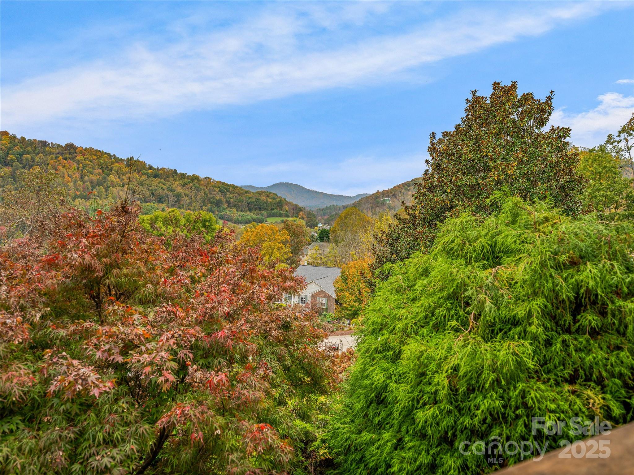 106 Thistle Tree Way Weaverville NC 28787