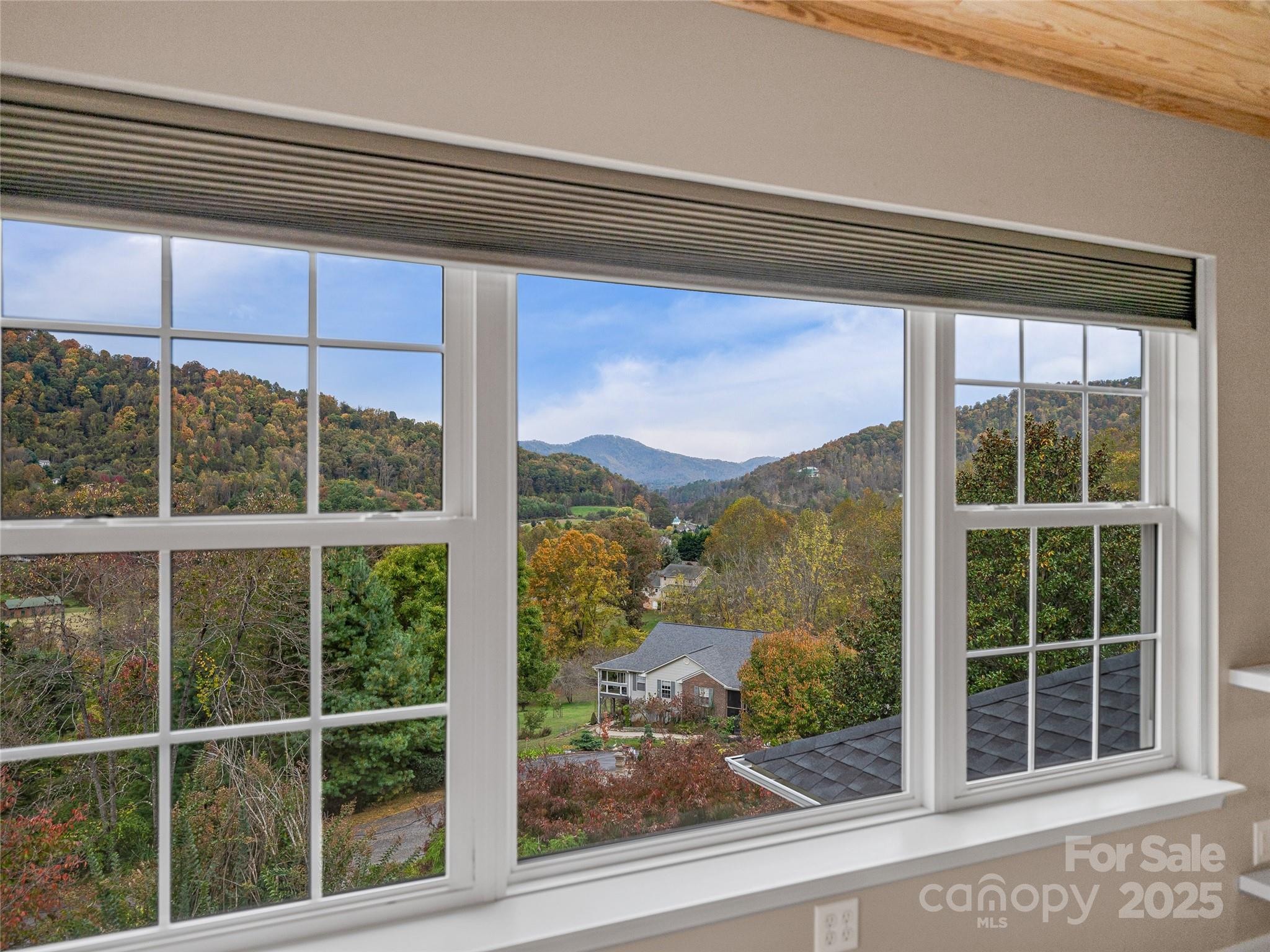 106 Thistle Tree Way Weaverville NC 28787