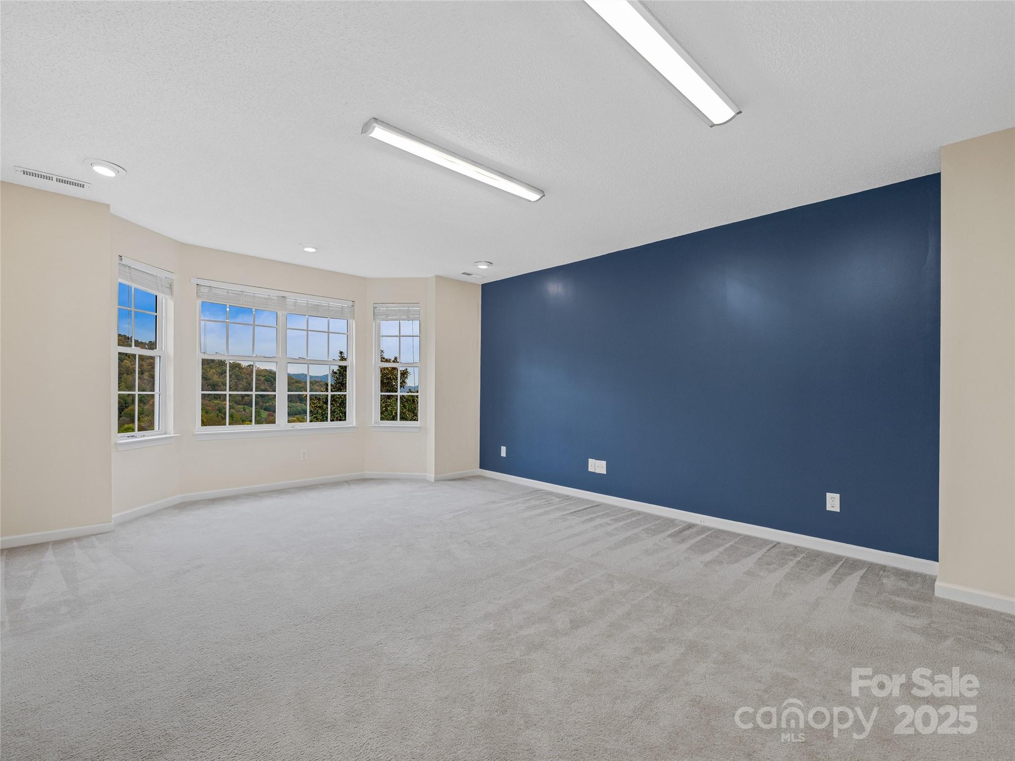 106 Thistle Tree Way Weaverville NC 28787