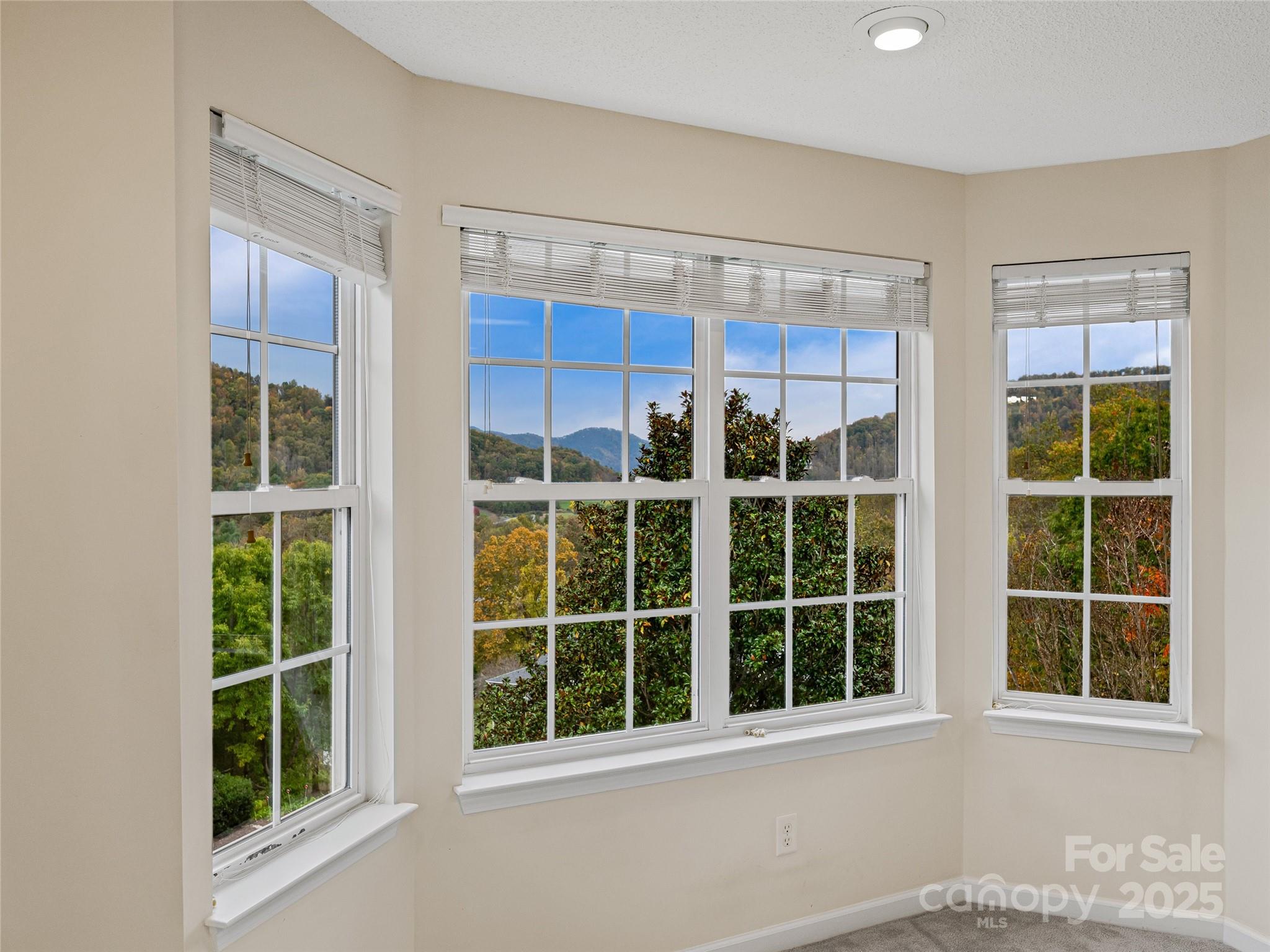 106 Thistle Tree Way Weaverville NC 28787