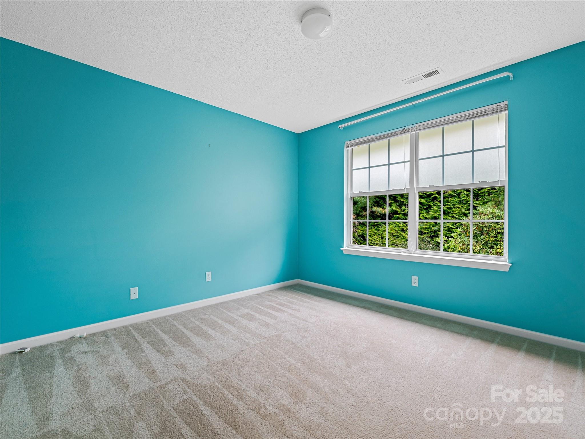 106 Thistle Tree Way Weaverville NC 28787
