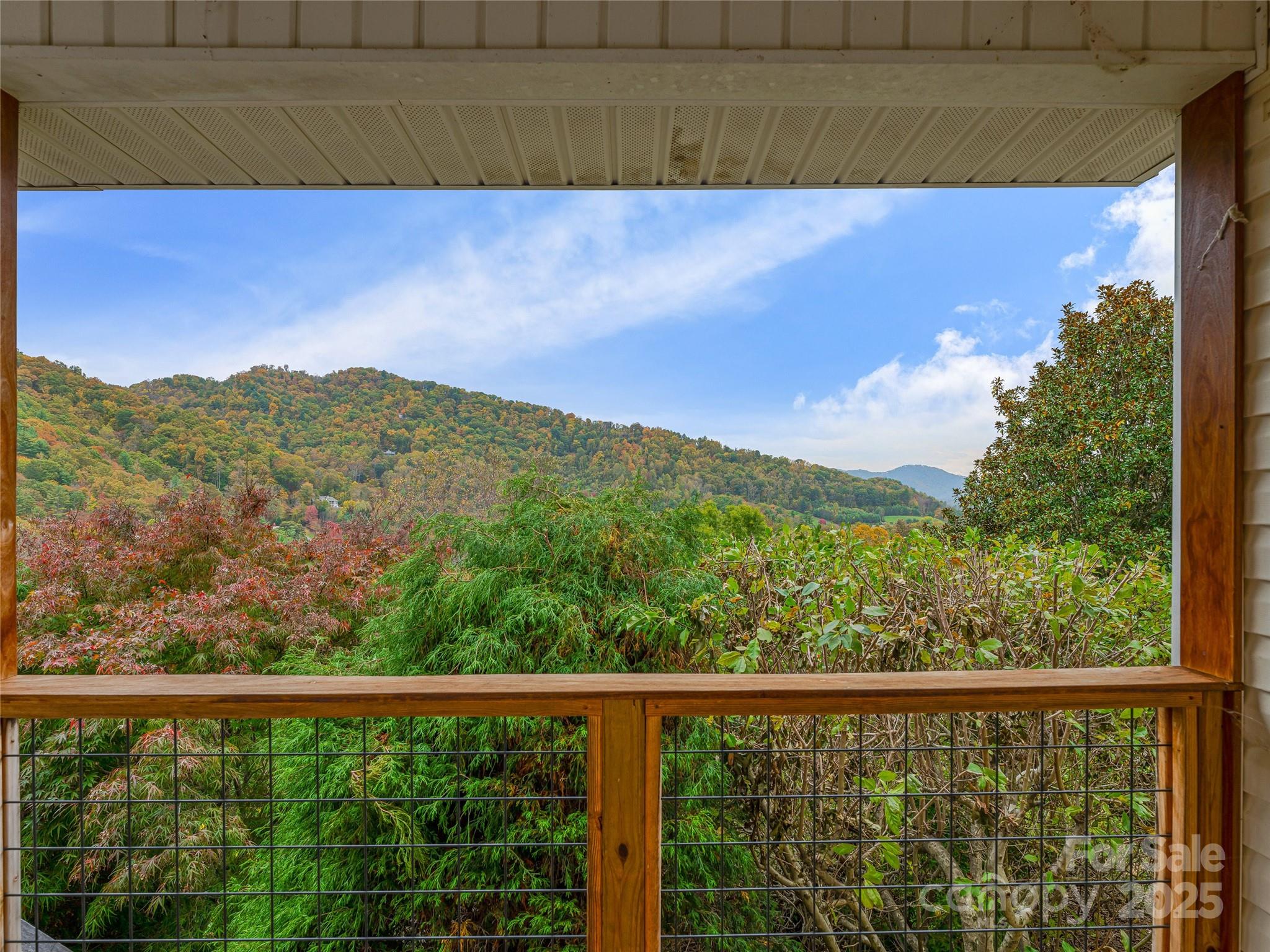106 Thistle Tree Way Weaverville NC 28787