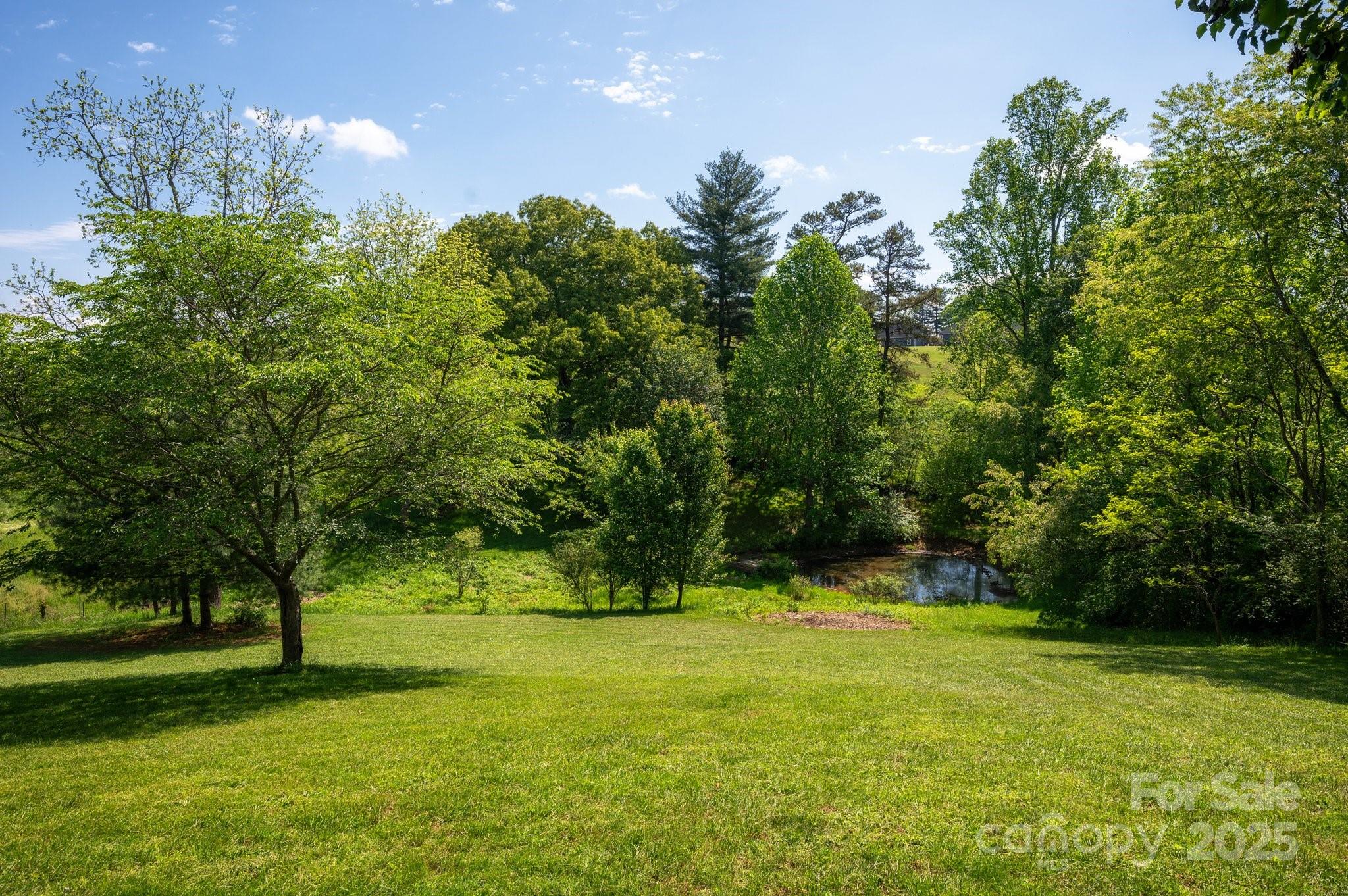 1572 Alexander Road Leicester NC 28748