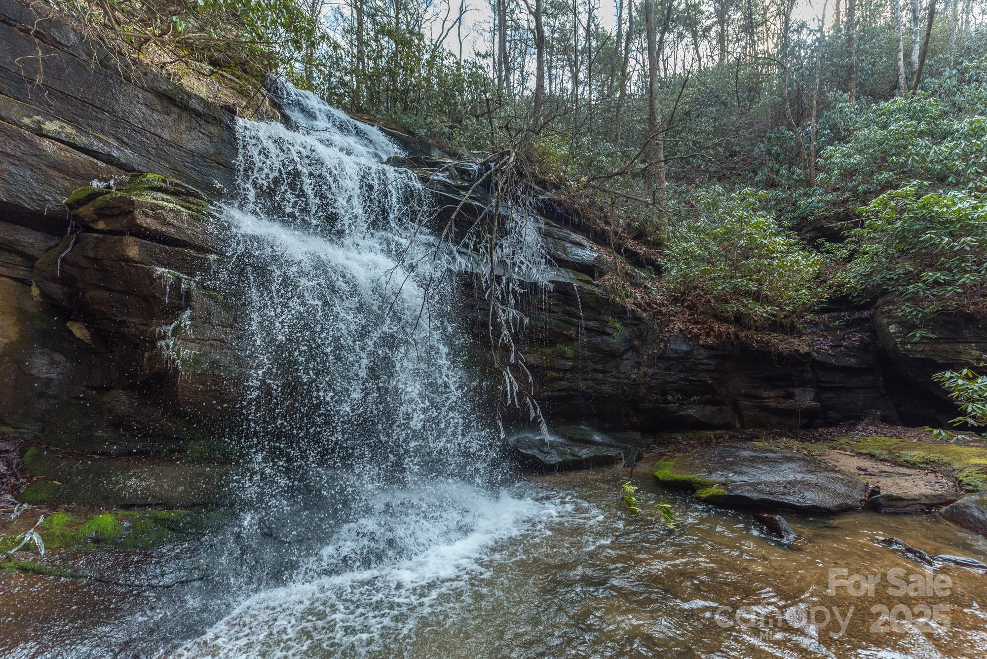 150 Bear Mountain Drive Old Fort NC 28762