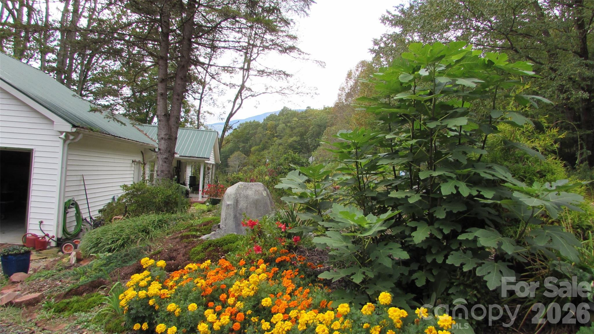524 Clear Creek Road Burnsville NC 28714