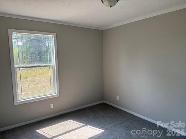 4360 Vein Mountain Road Nebo NC 28761