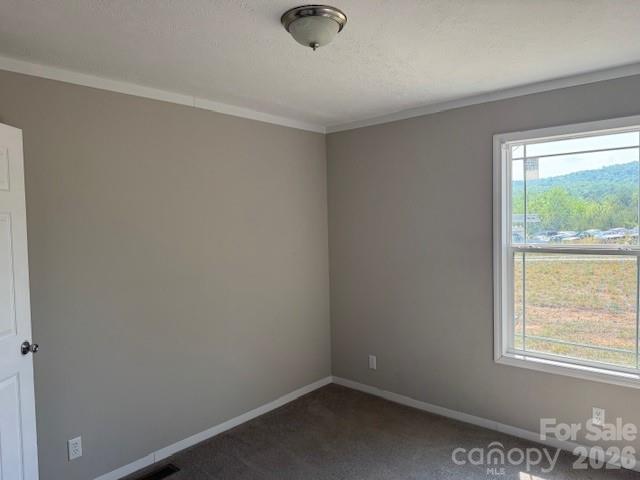 4360 Vein Mountain Road Nebo NC 28761