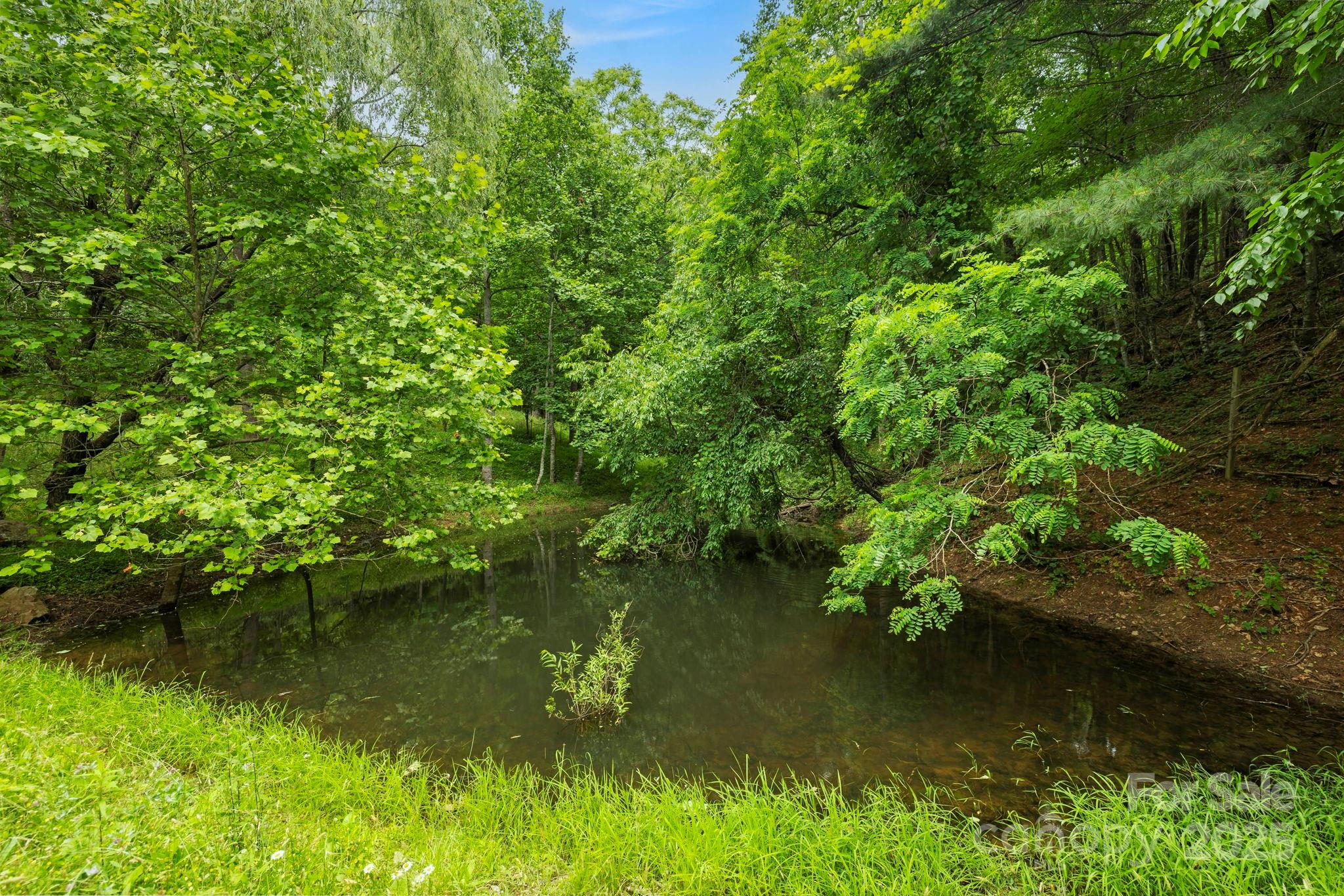 51 Homefire Cove Cove Leicester NC 28748