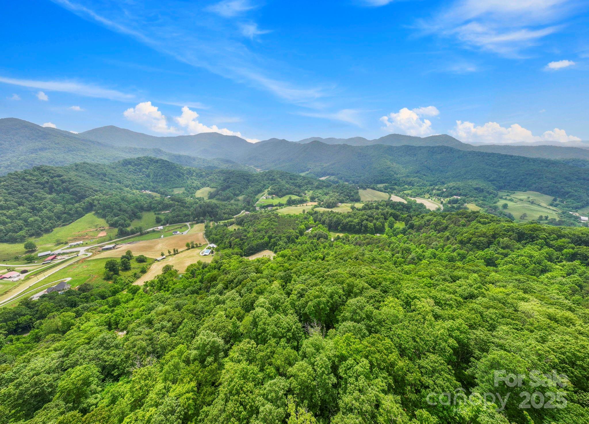 51 Homefire Cove Cove Leicester NC 28748
