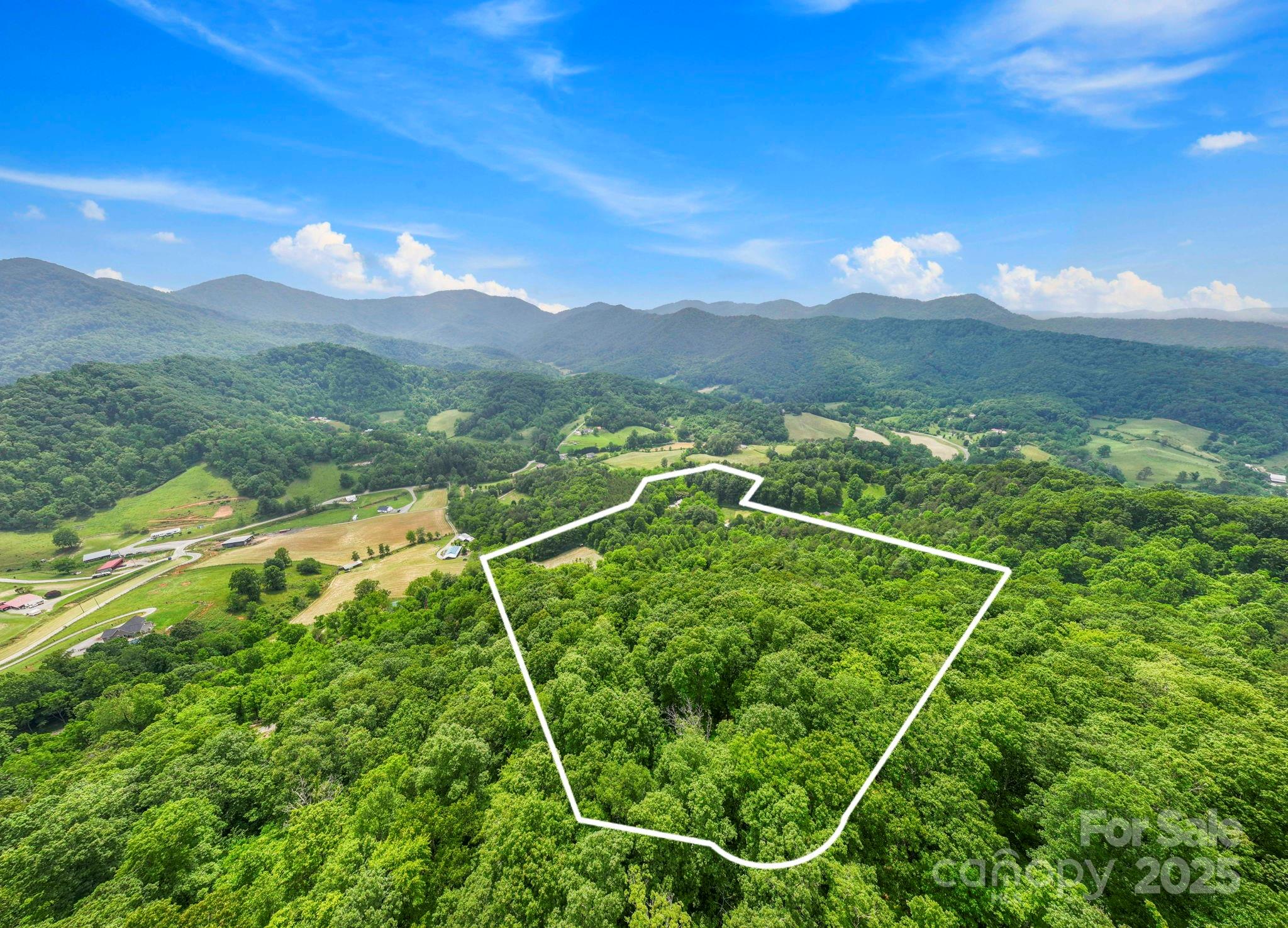 51 Homefire Cove Cove Leicester NC 28748