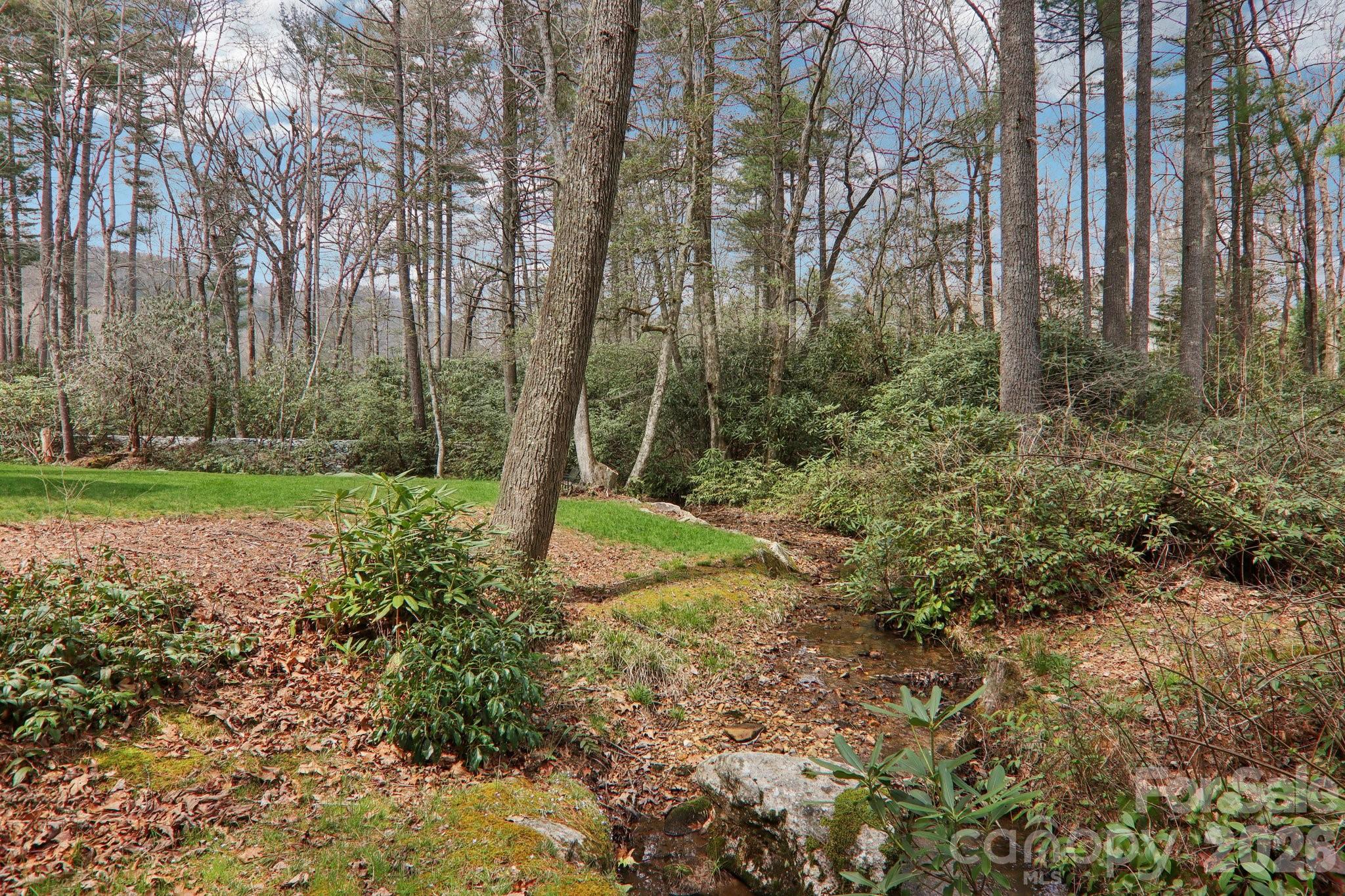 46 Mills Creek Drive Lake Toxaway NC 28747