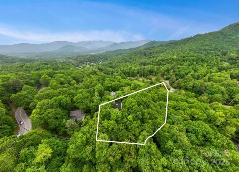 21 Rhododendron Road Black Mountain NC 28711