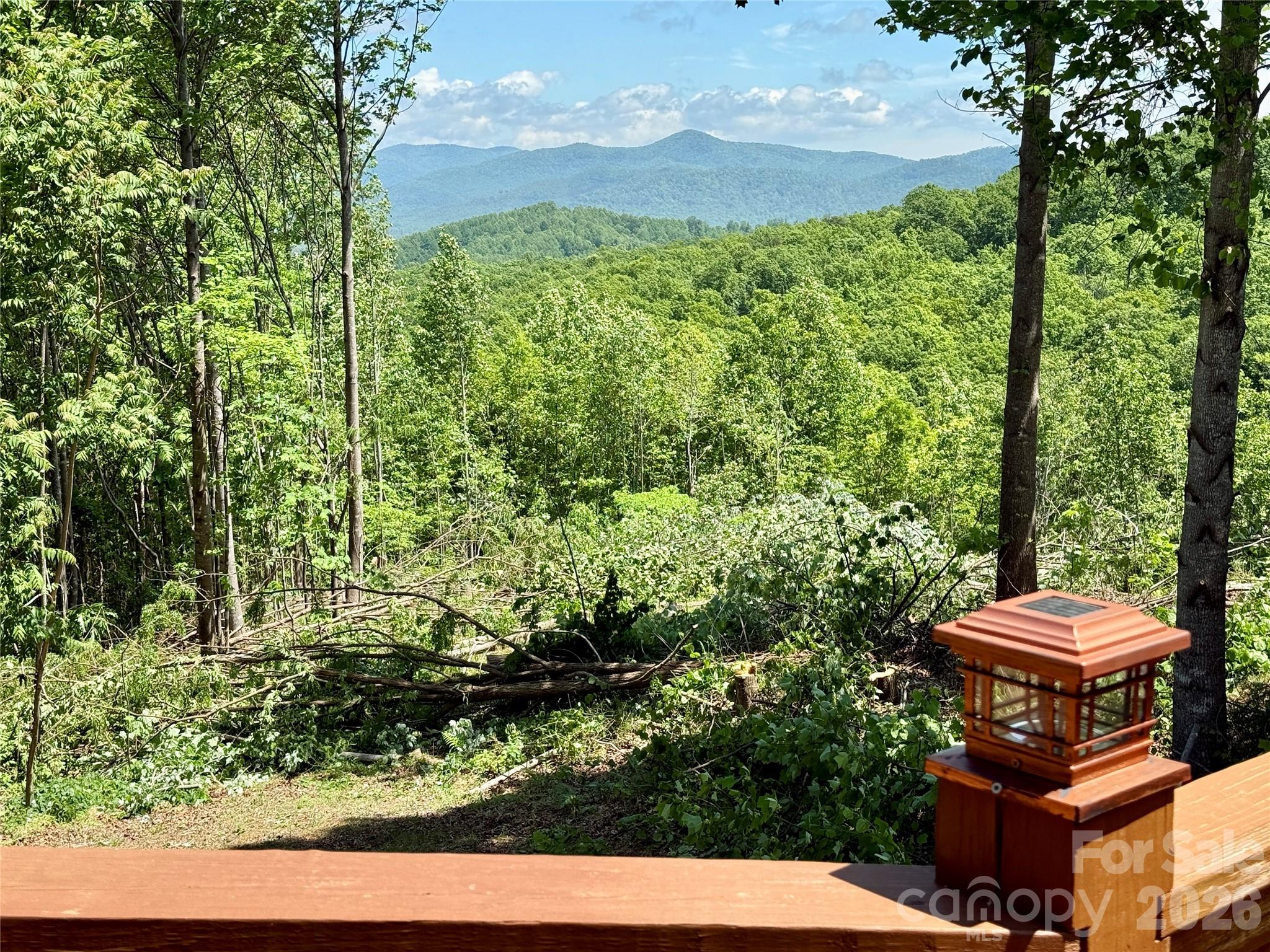 1143 Grandview Peaks Drive Nebo NC 28761