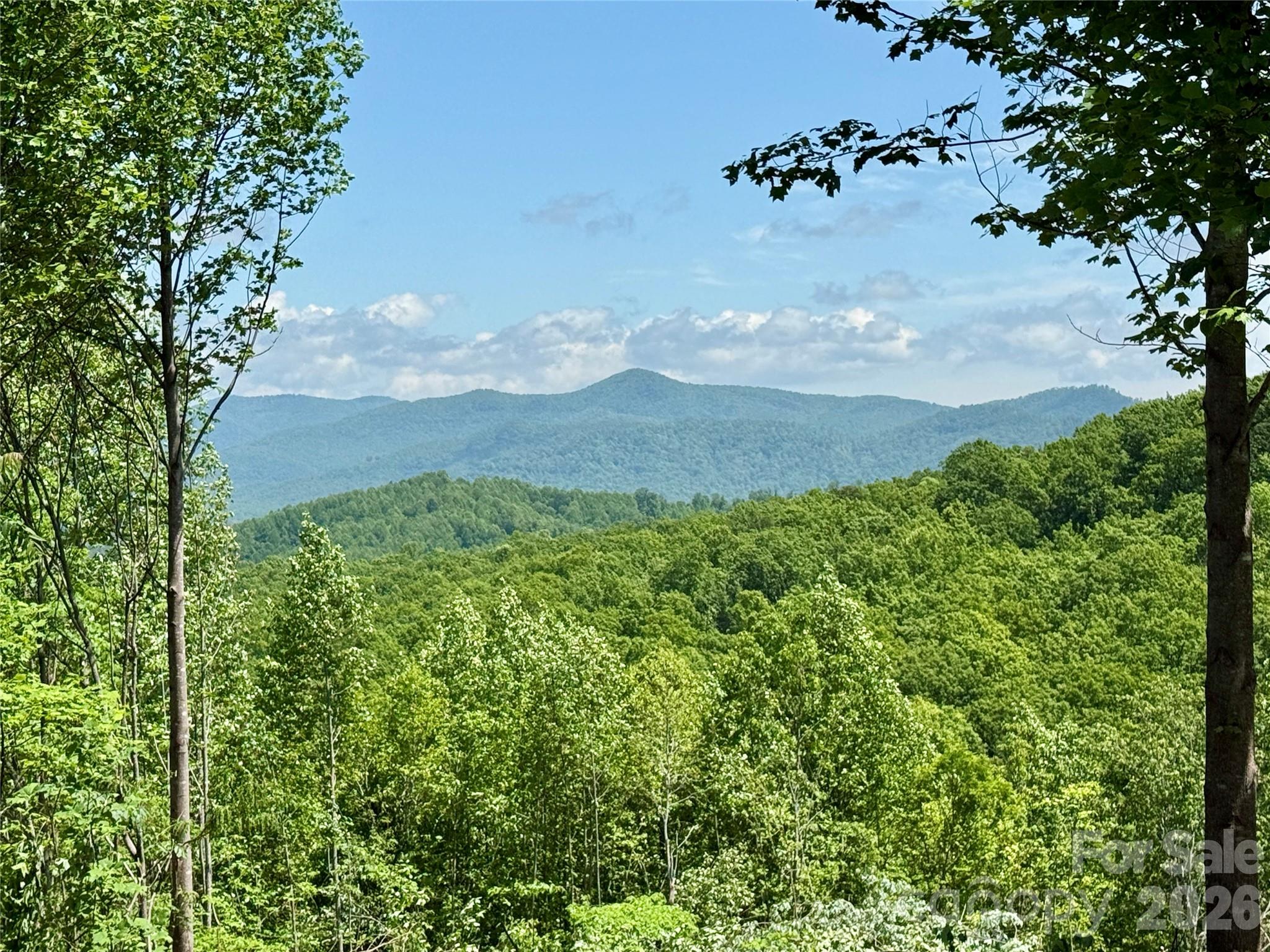 1143 Grandview Peaks Drive Nebo NC 28761