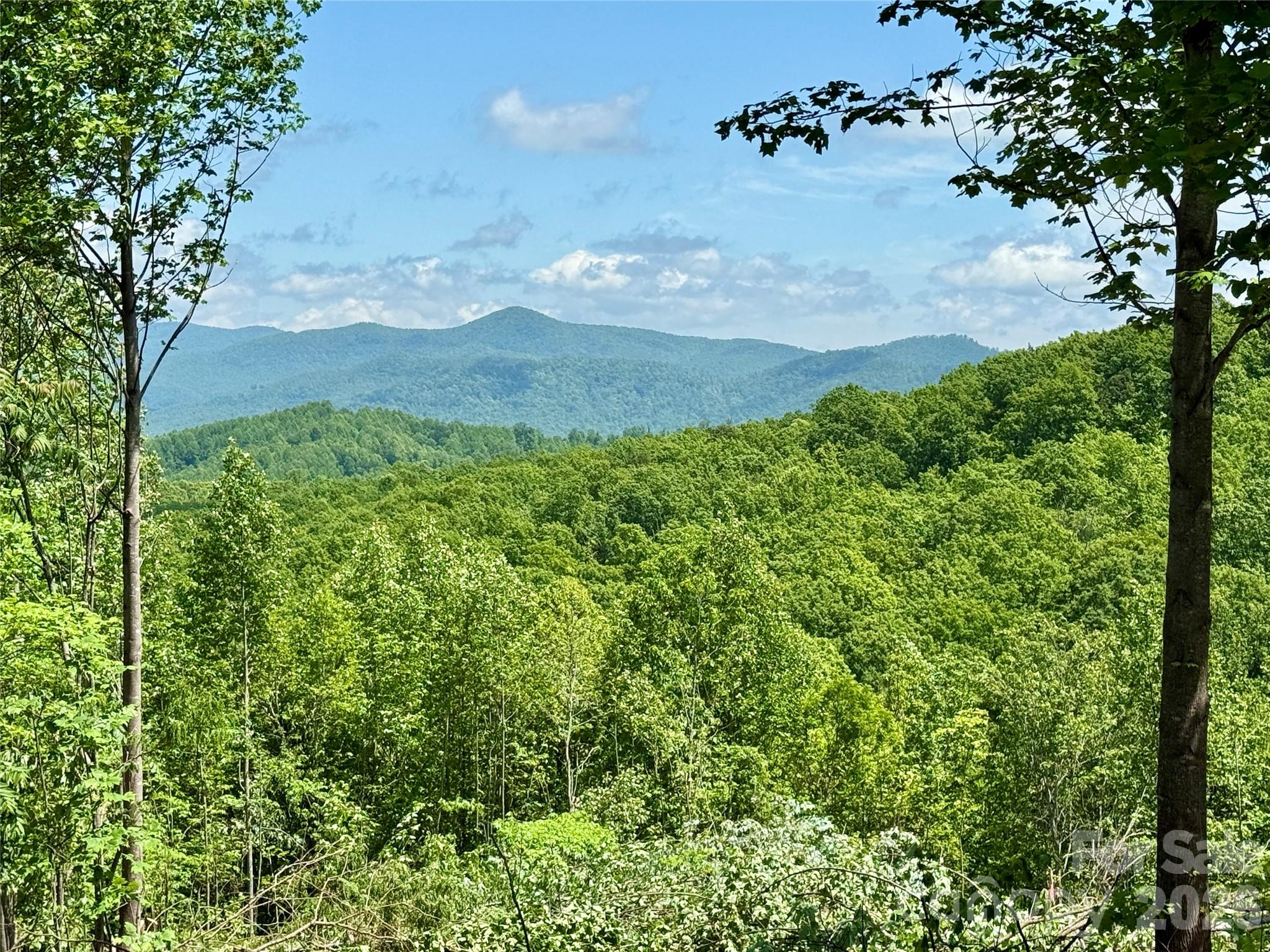 1143 Grandview Peaks Drive Nebo NC 28761