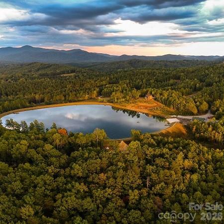 1143 Grandview Peaks Drive Nebo NC 28761