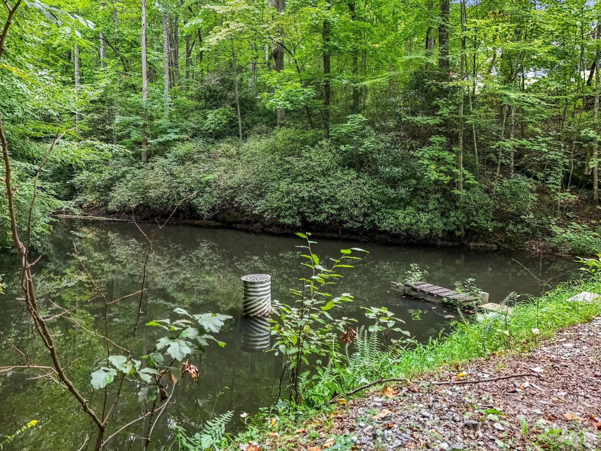 97 Whippoorwill Lane Fairview NC 28730