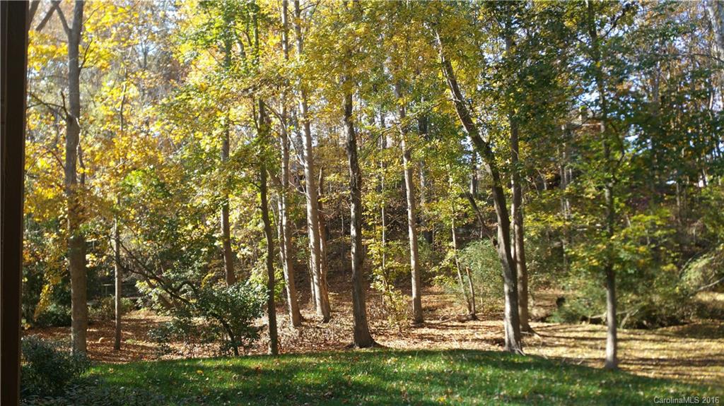 8602 Dillingham Court Waxhaw NC 28173