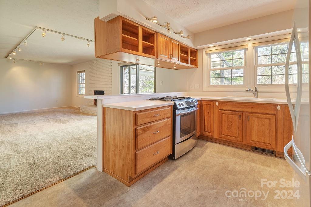 45 Alclare Court Asheville NC 28804