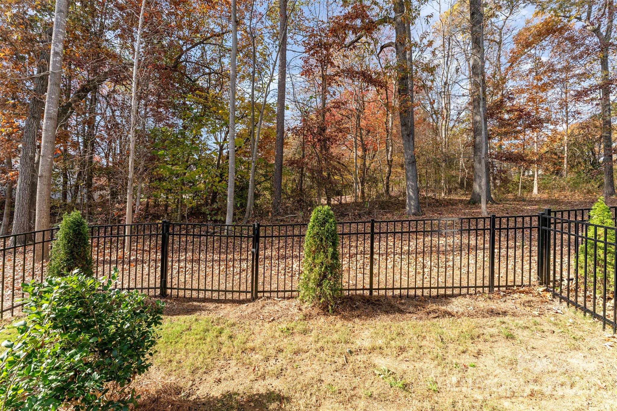 10504 Audubon Ridge Drive Cornelius NC 28031