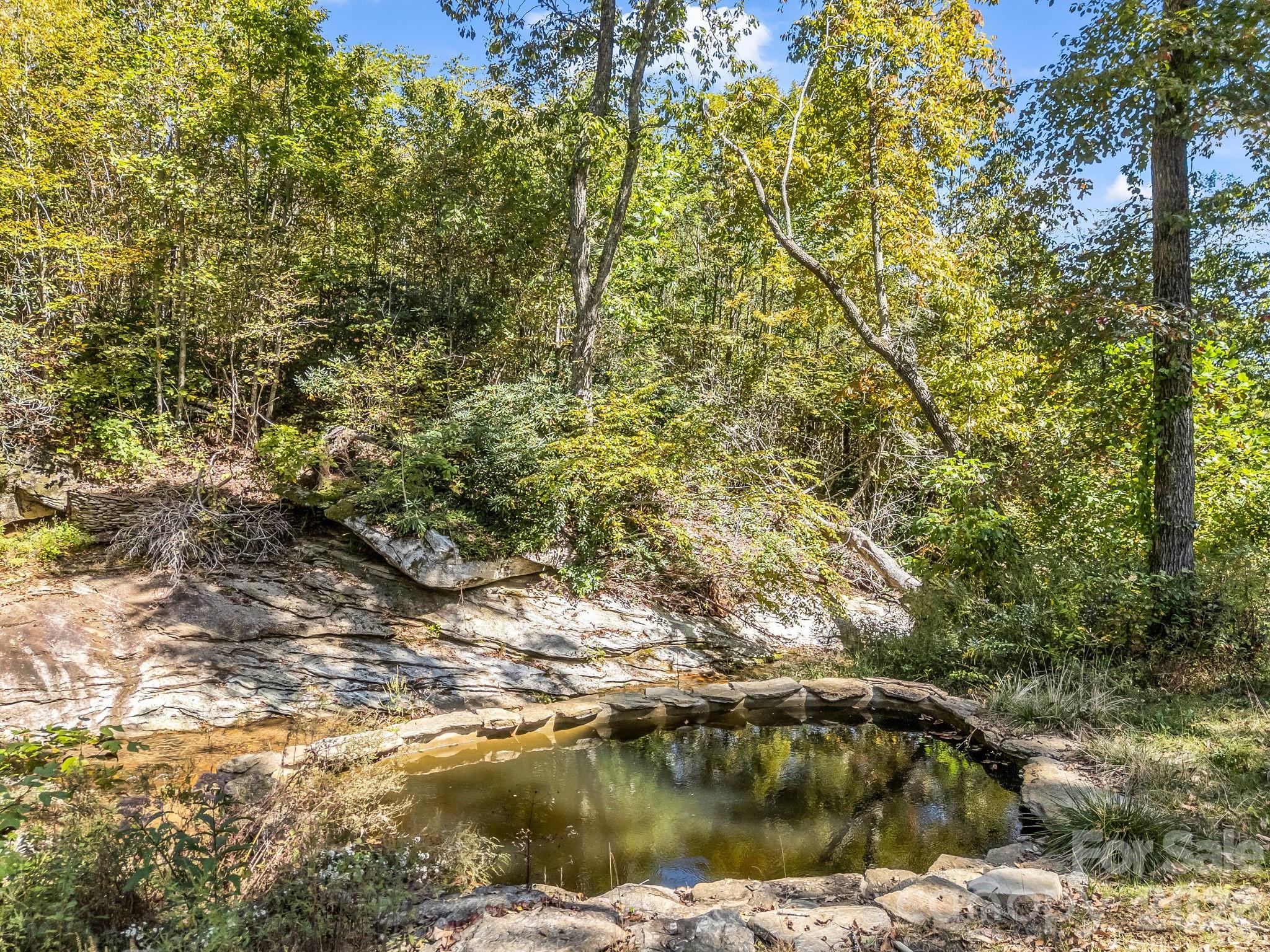 119 Mountain Bluff Trail Hendersonville NC 28792