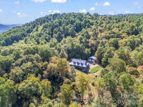 119 Mountain Bluff Trail Hendersonville NC 28792