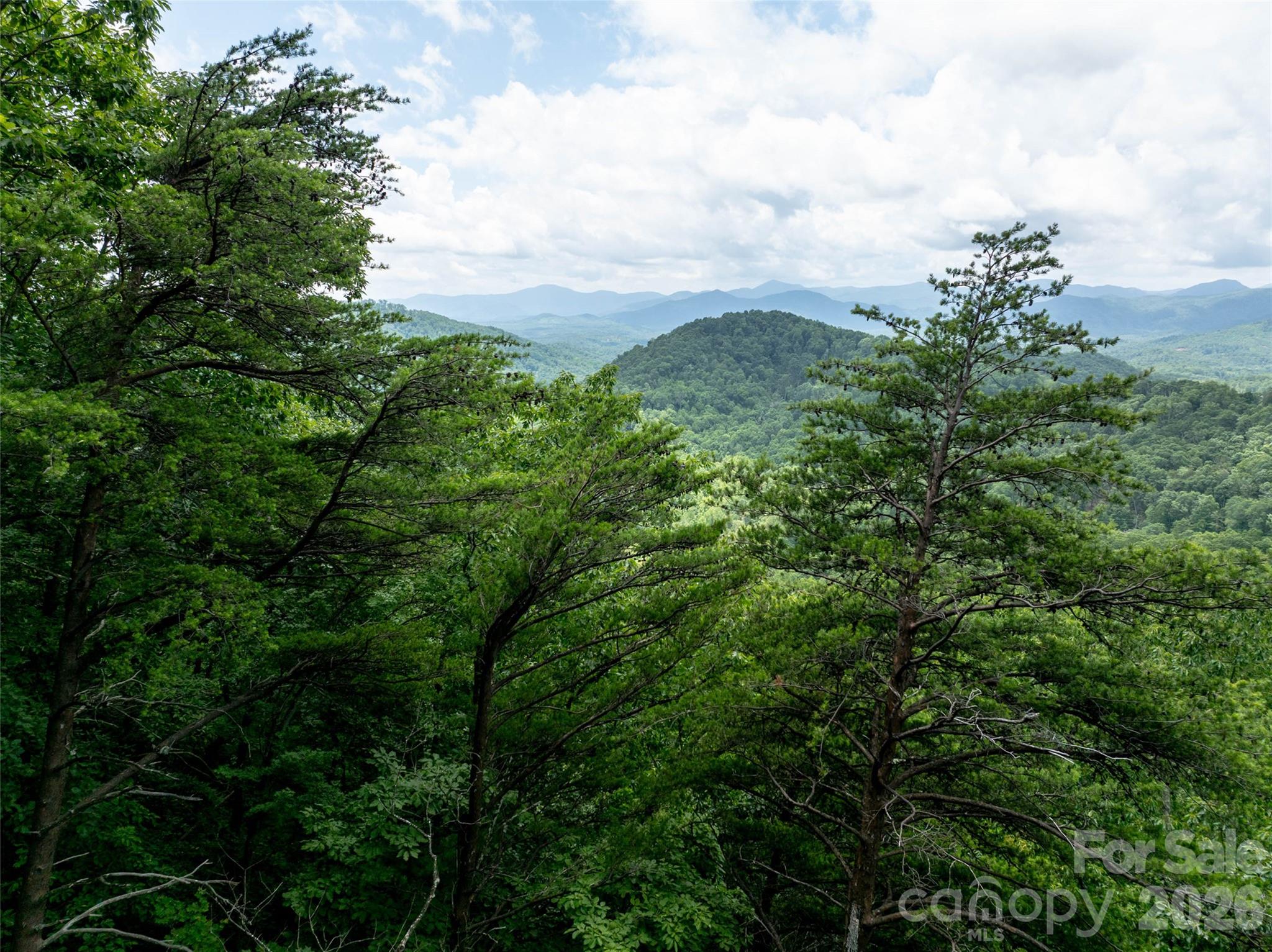 309 Doubleview Drive Union Mills NC 28167