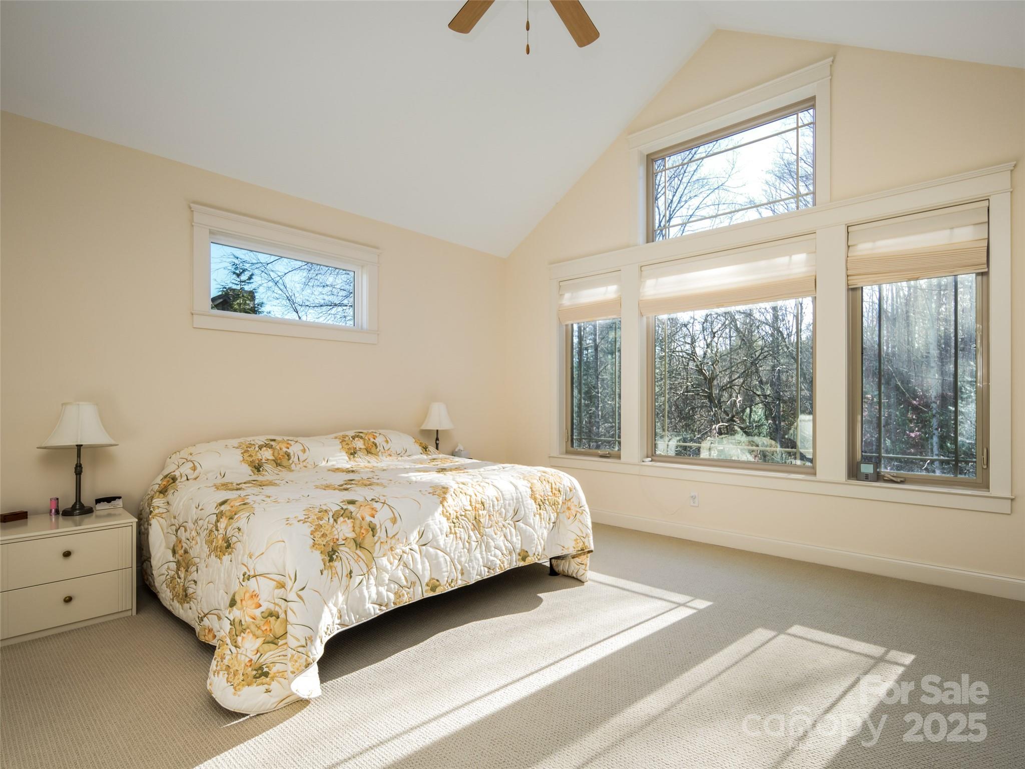 123 Orvis Stone Circle Biltmore Lake NC 28715