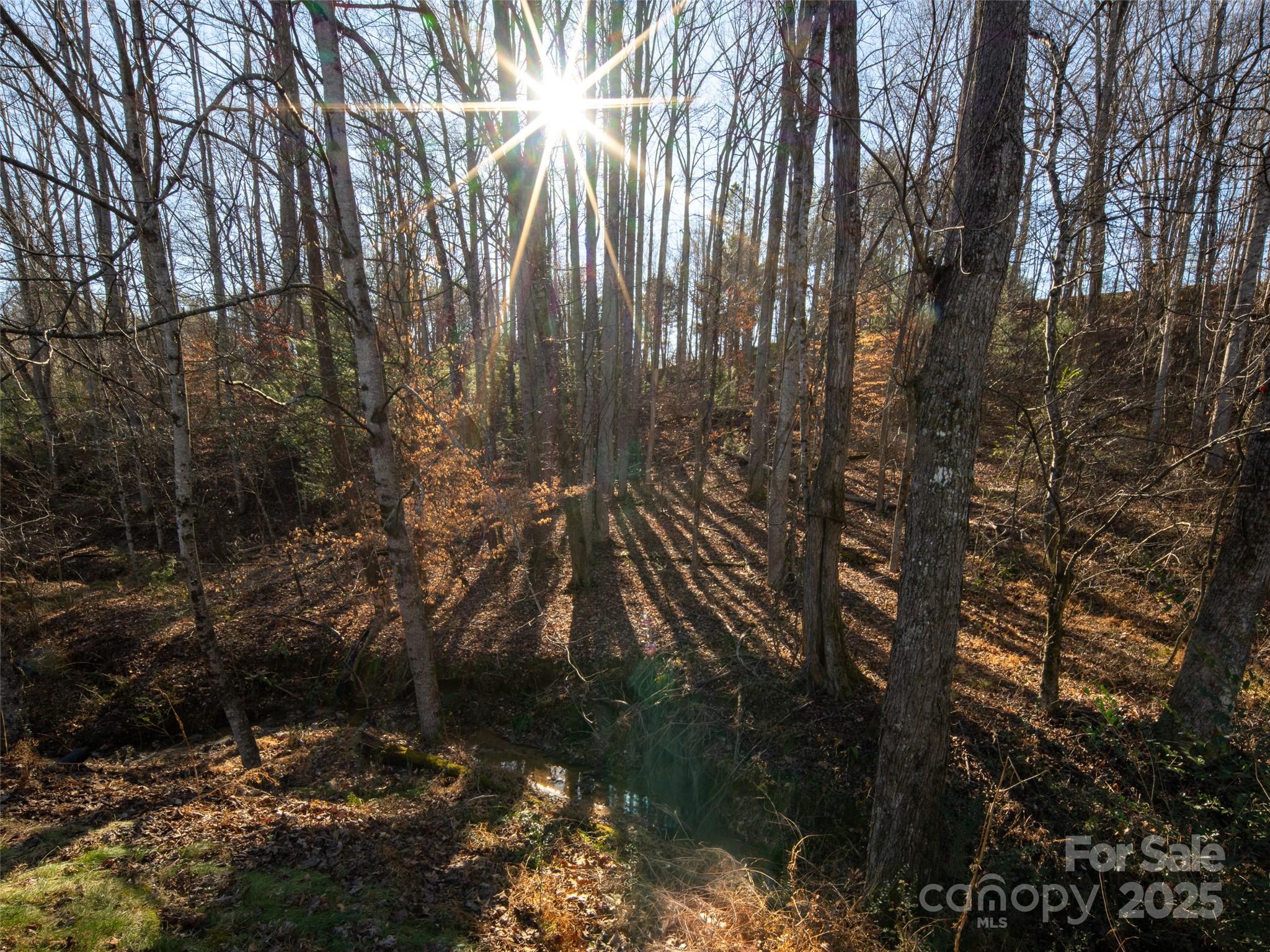 123 Orvis Stone Circle Biltmore Lake NC 28715