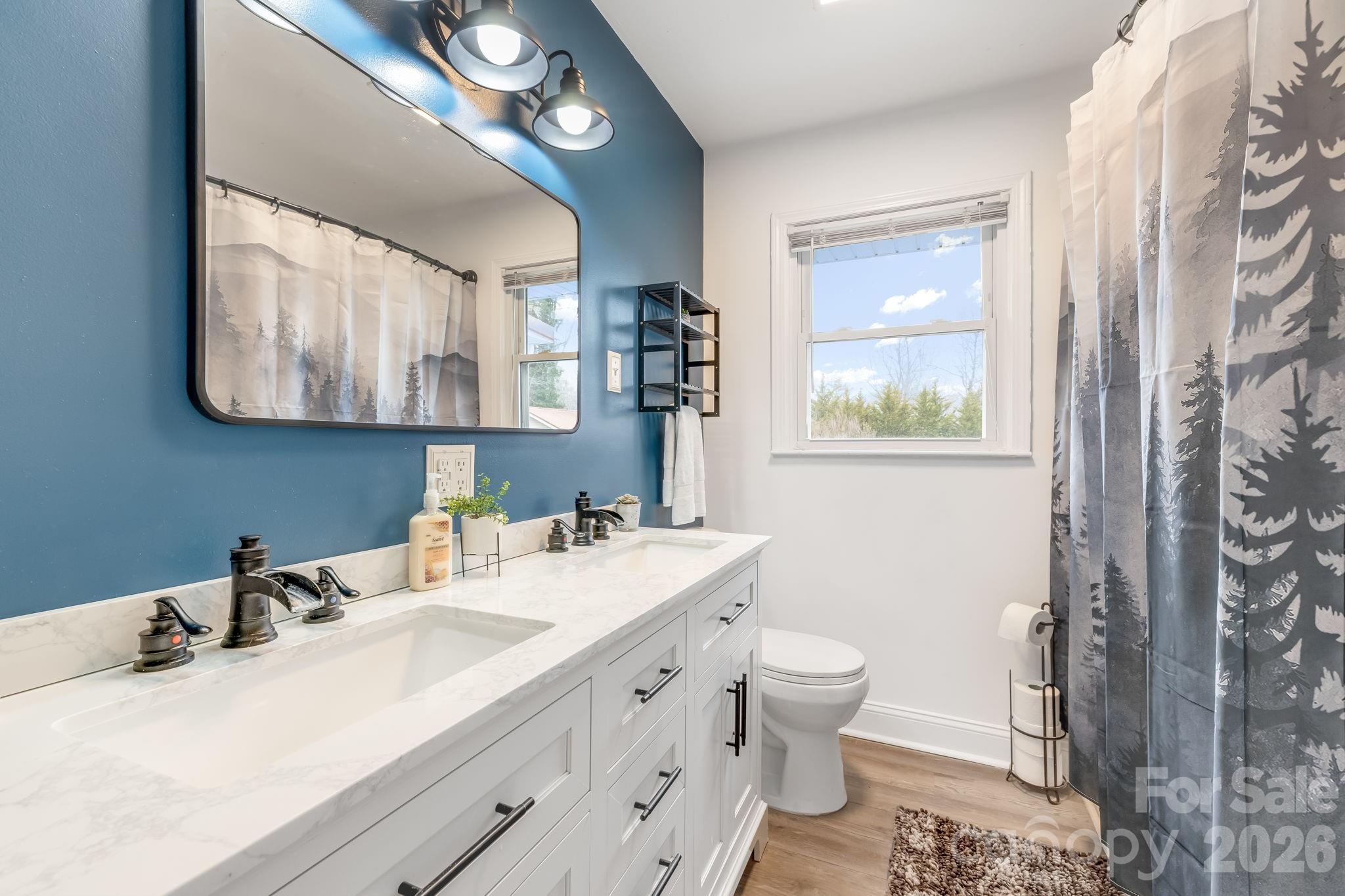 52 Baby Jane Lane Hendersonville NC 28792