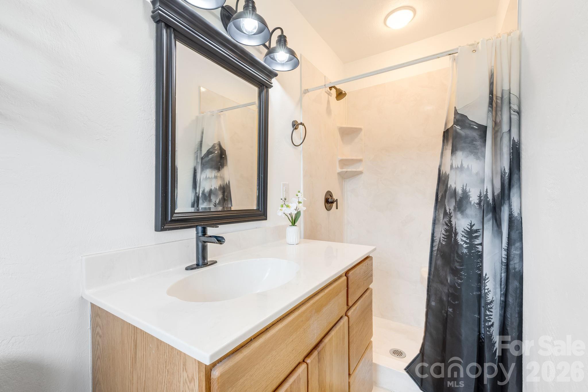 52 Baby Jane Lane Hendersonville NC 28792