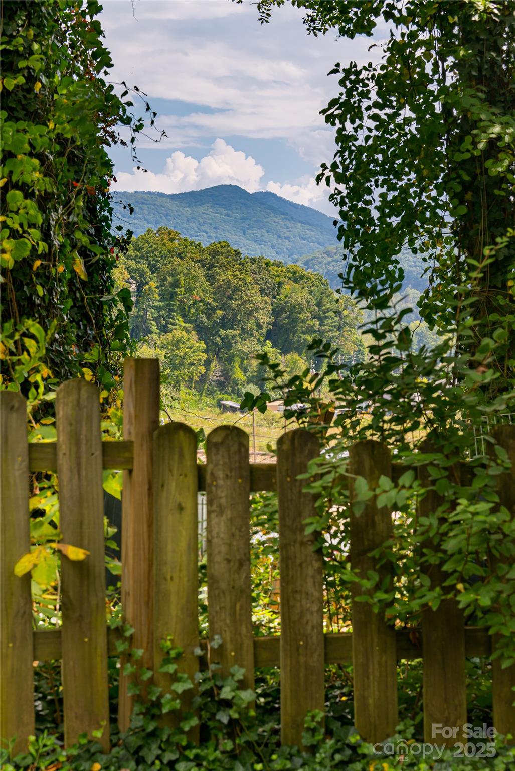 40 Governors View Road Asheville NC 28805