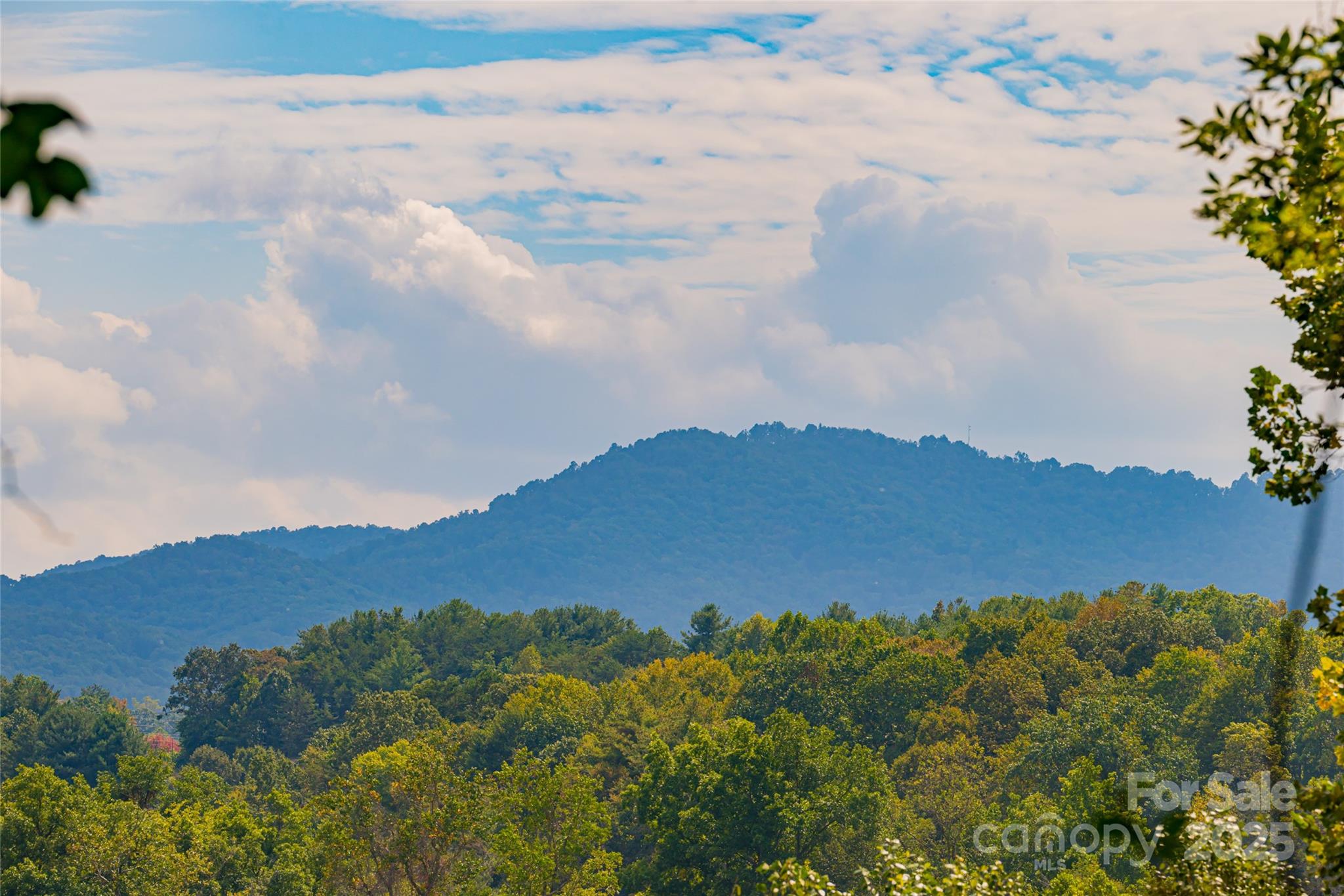 40 Governors View Road Asheville NC 28805