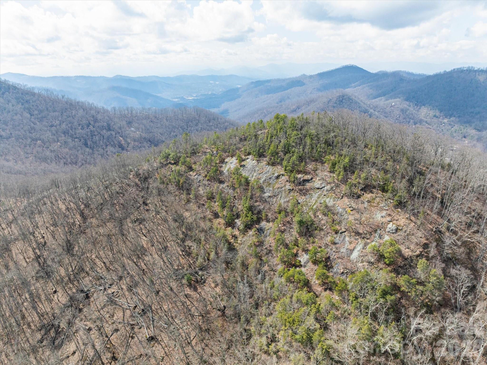 140 Wild Mountain Lane Barnardsville NC 28709