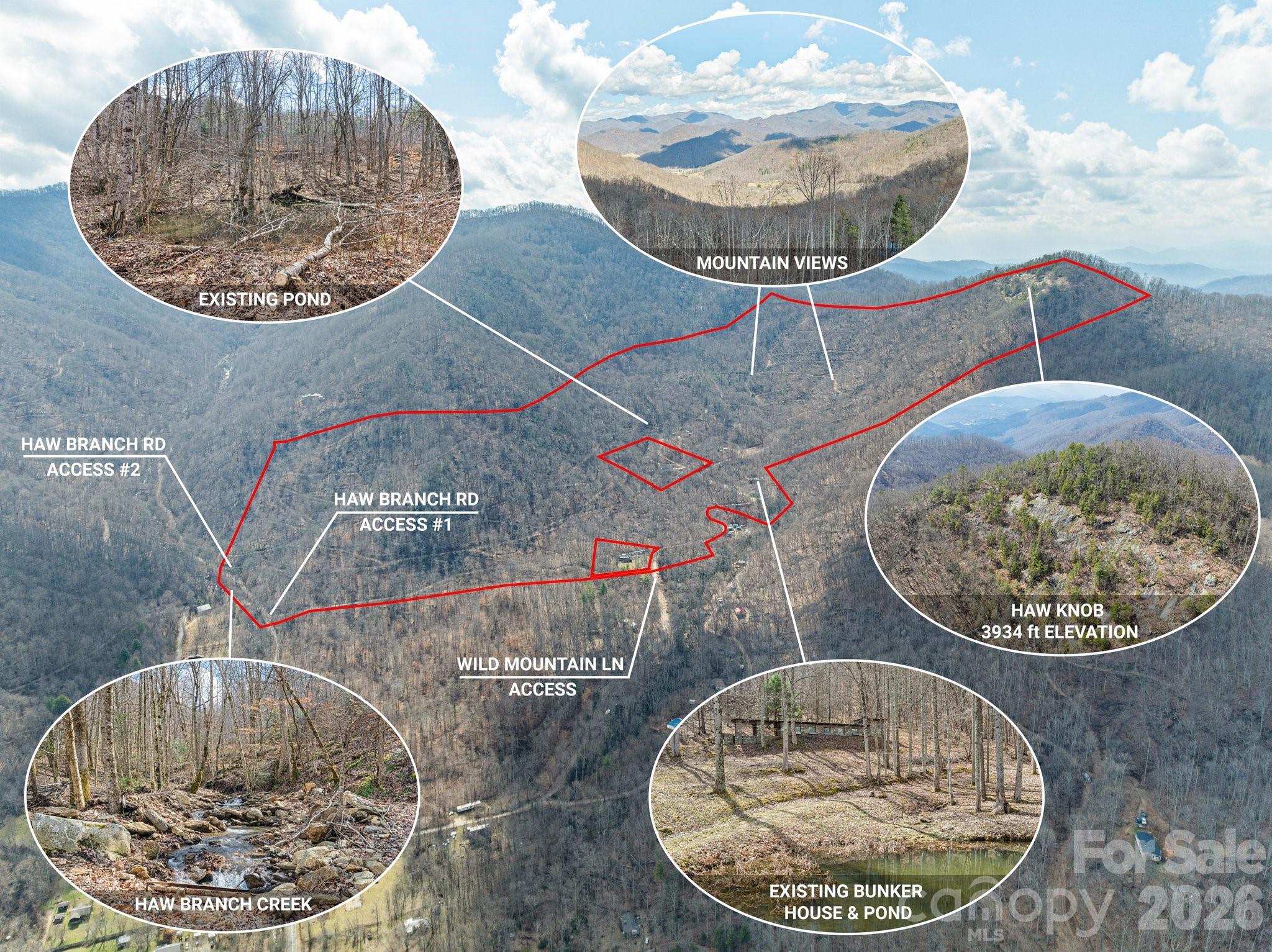 140 Wild Mountain Lane Barnardsville NC 28709